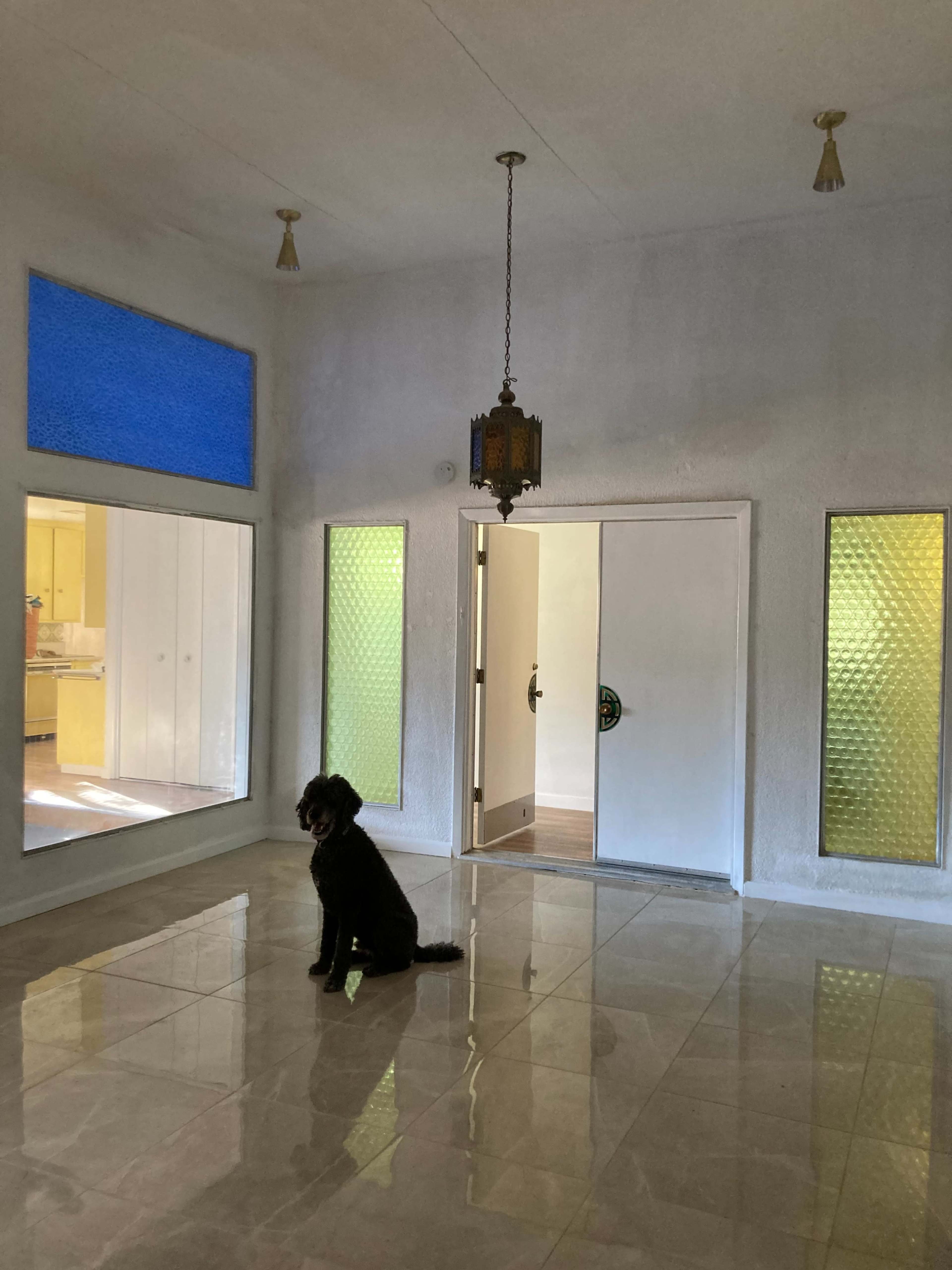 A black dog sits on polished tile floors in a room with large windows and a hanging light fixture.