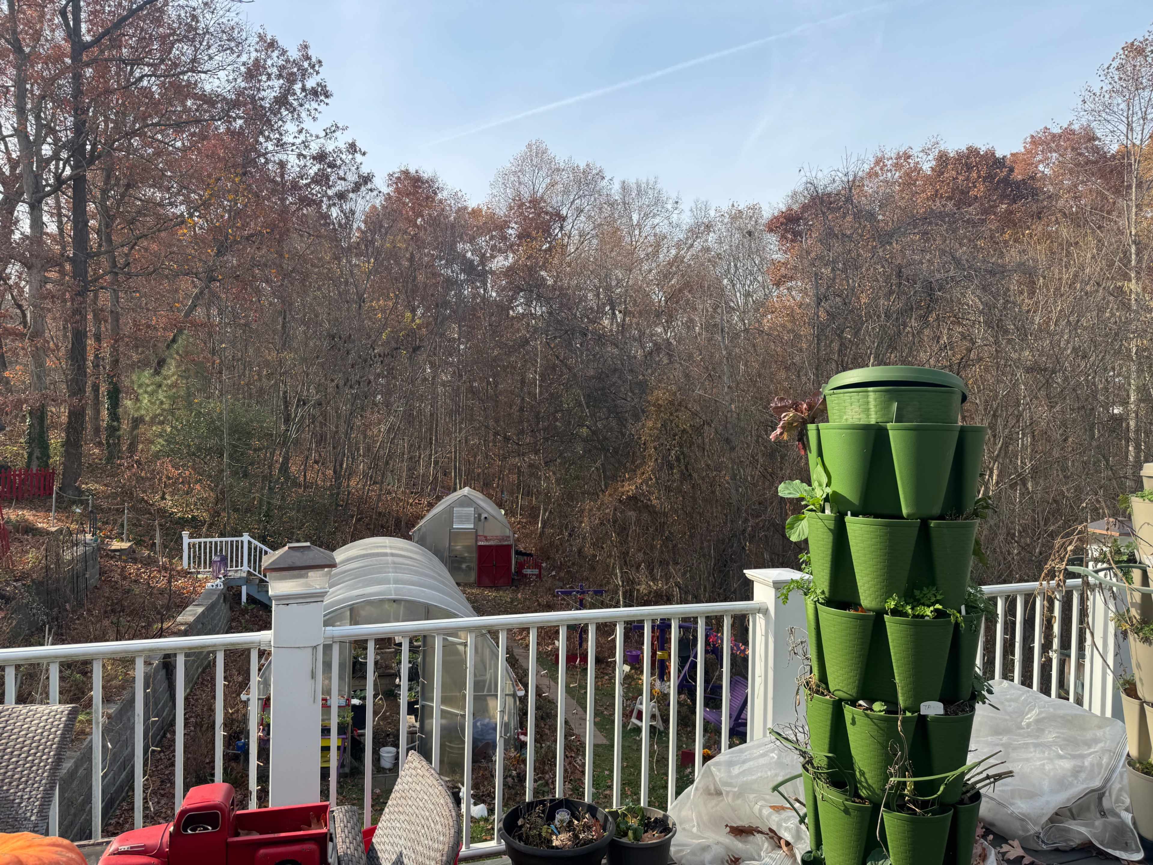 Rural Country Vibe was the Woods Image in Joelton, Goodlettsville, TN