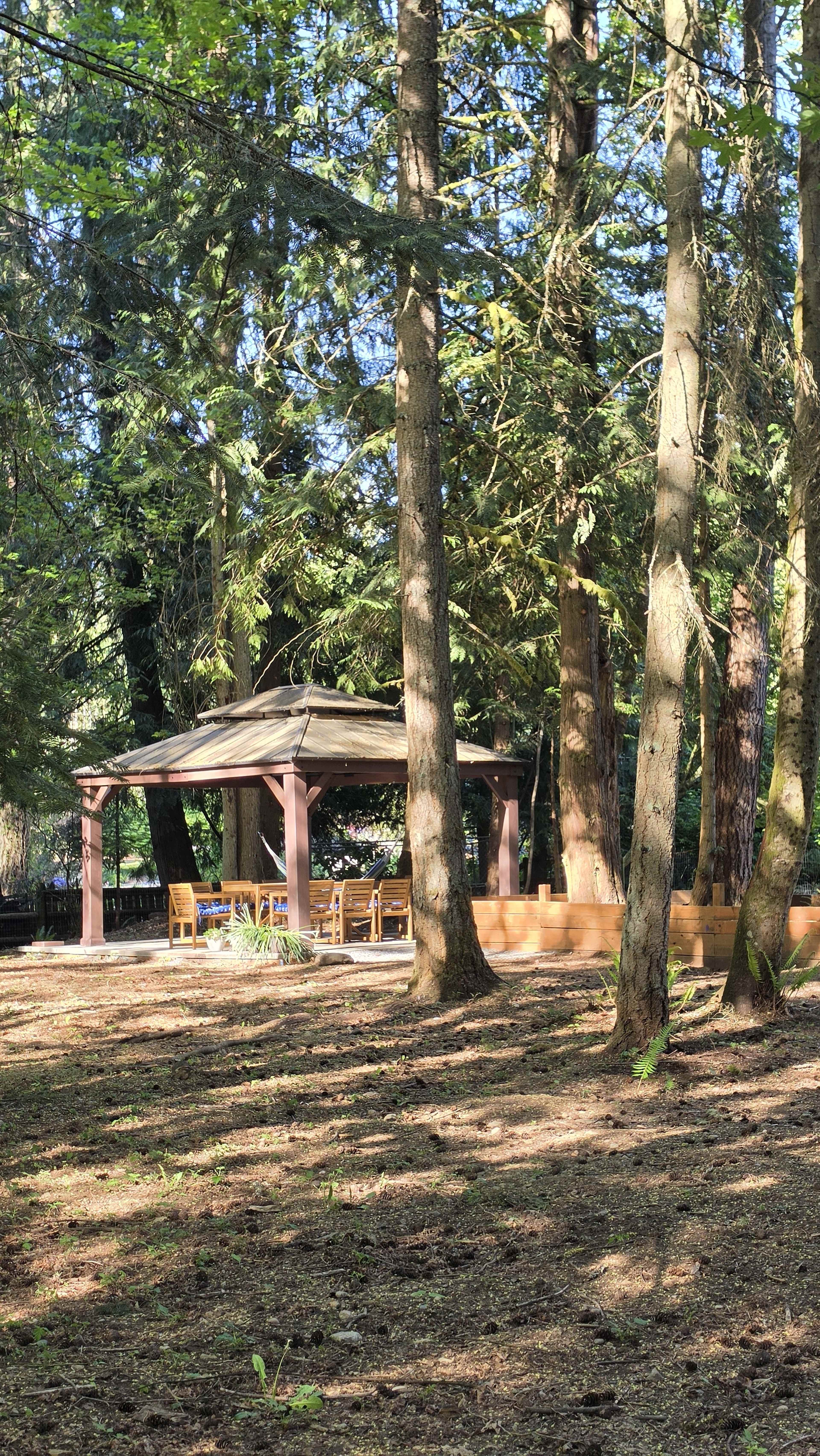 A wooden gazebo with seating is nestled among tall trees in a forested area.