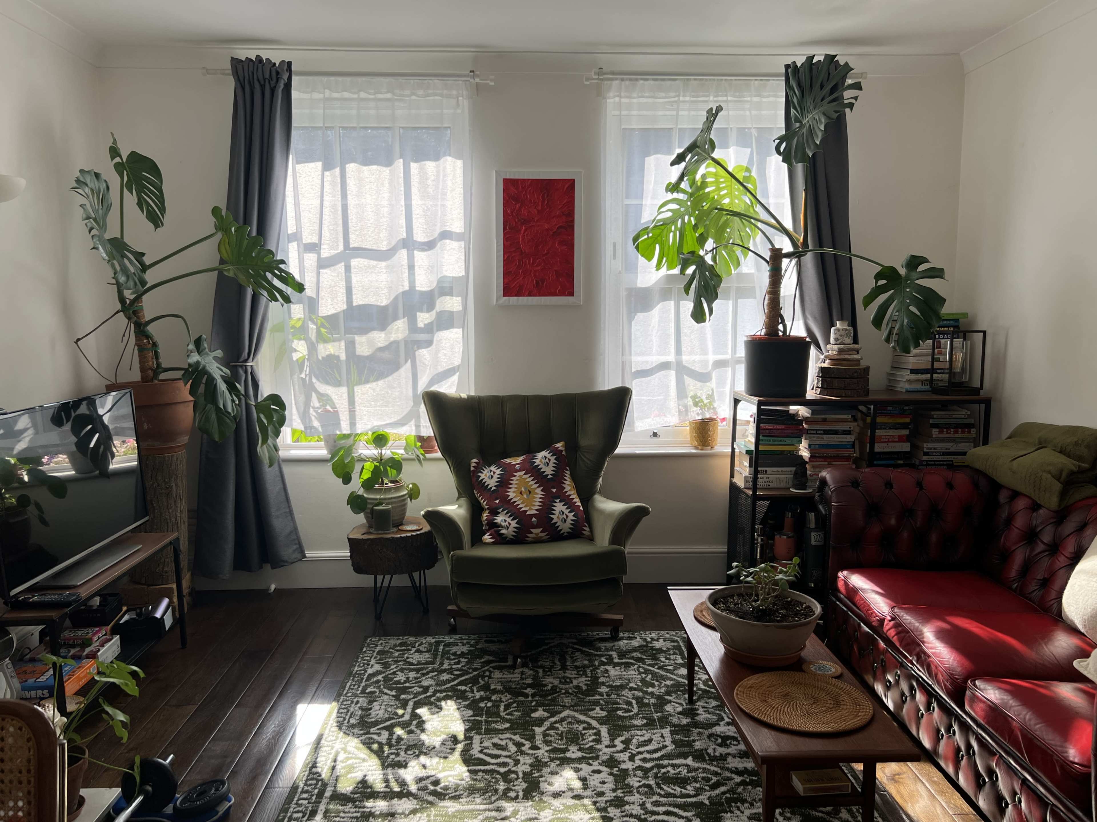 A living room features large windows with sheer curtains, a green armchair, a red leather sofa, a television, bookshelves, and several indoor plants.