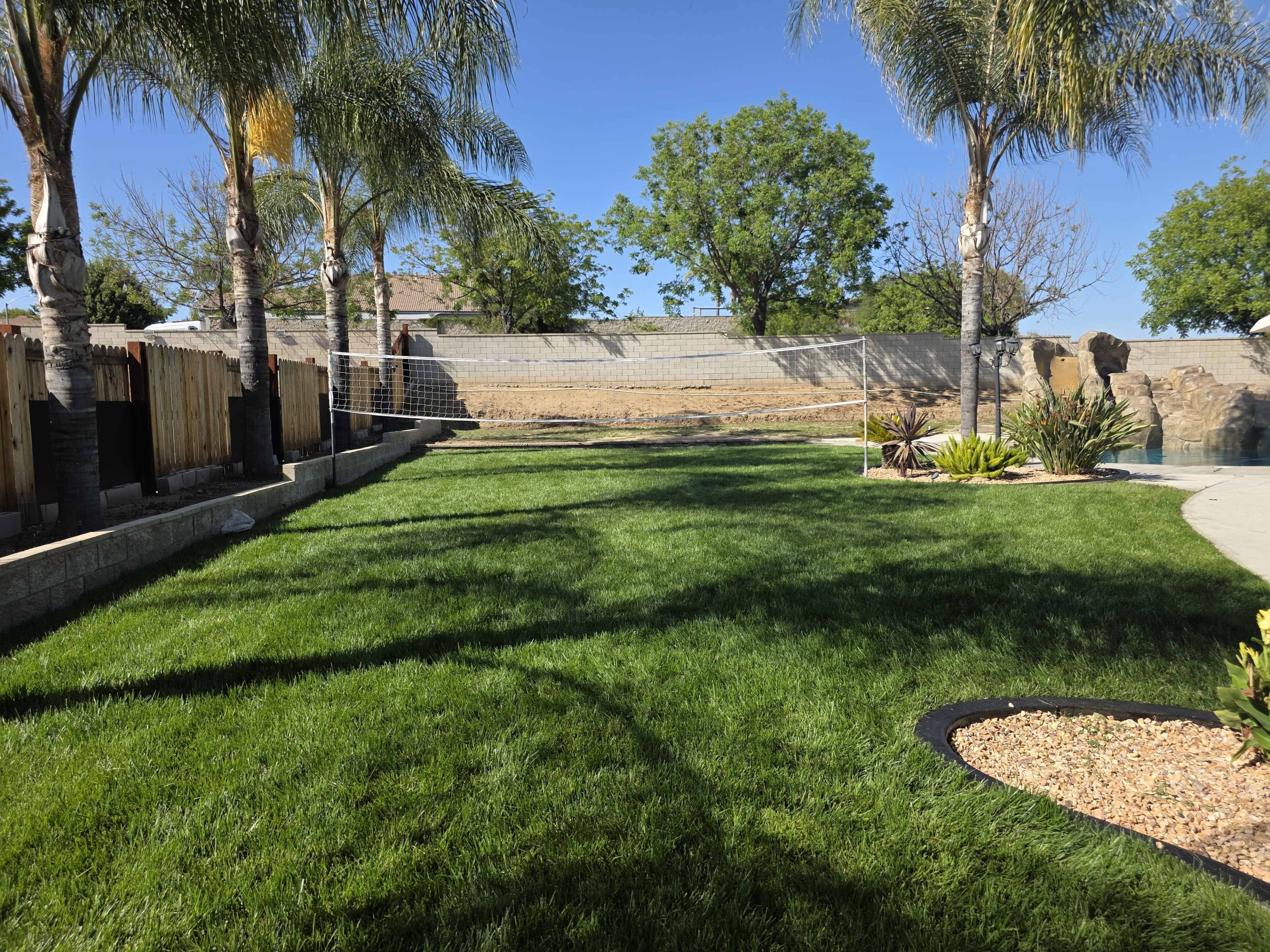 The image shows a well-maintained backyard with green grass, palm trees, and a volleyball net set up along a stone wall.