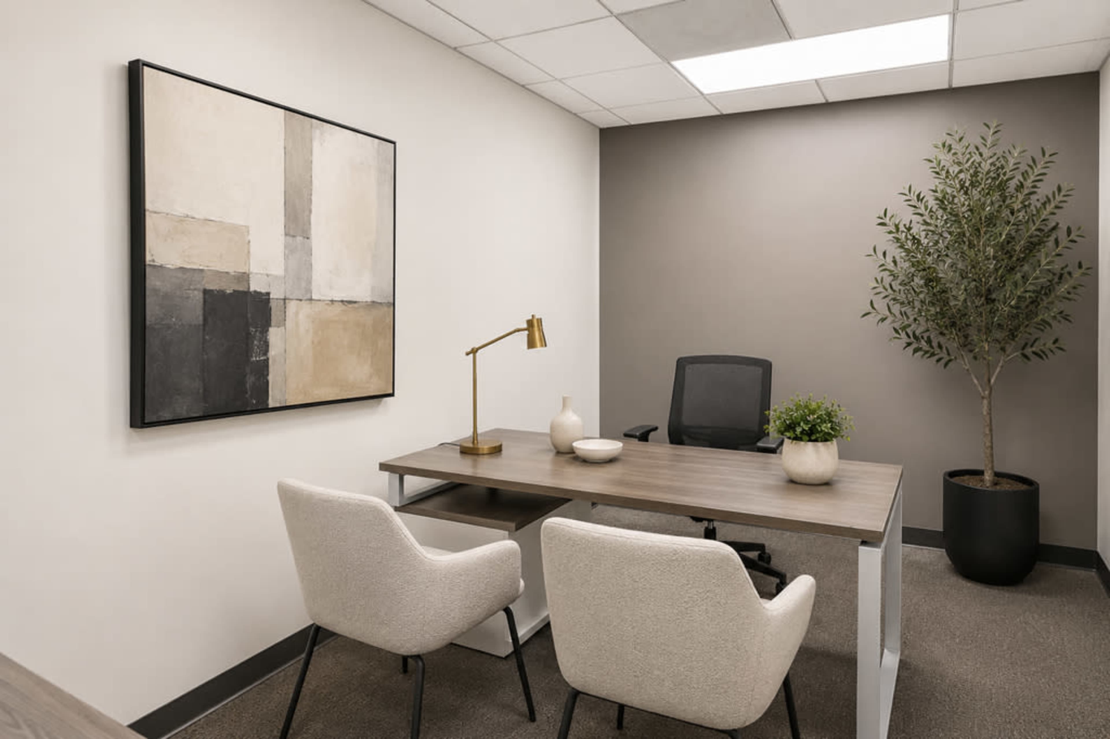 The image shows a modern office space featuring a desk with two chairs, a decorative plant, and abstract artwork on the wall.