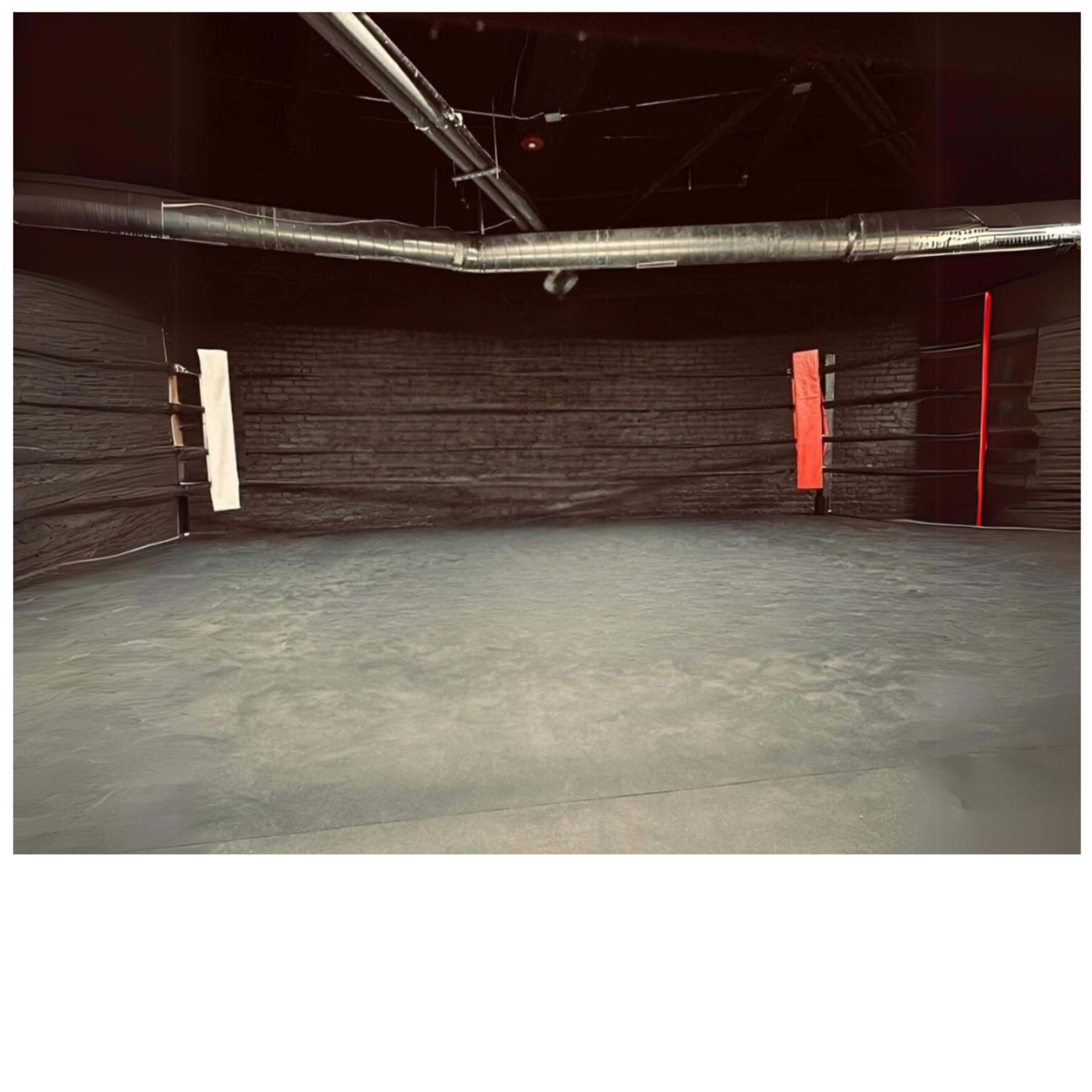 Boxing Gym Long Island City Image in Astoria, Long Island City, NY