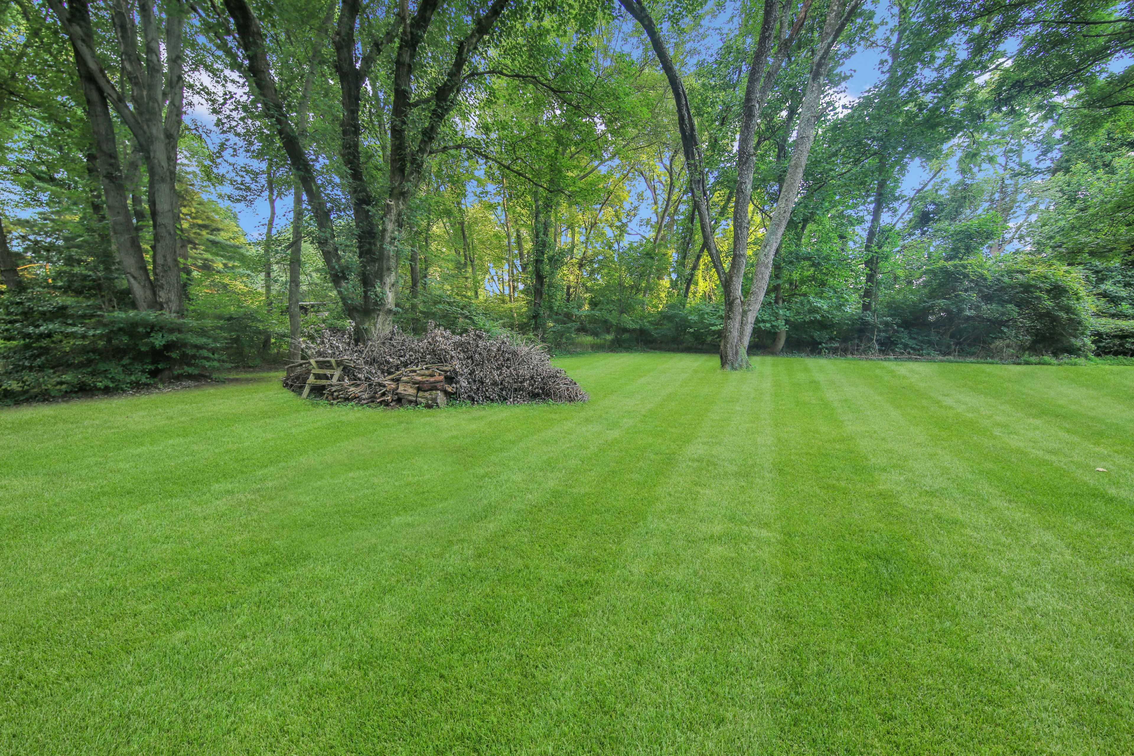 A neatly mowed lawn bordered by trees, with a pile of logs in one corner.