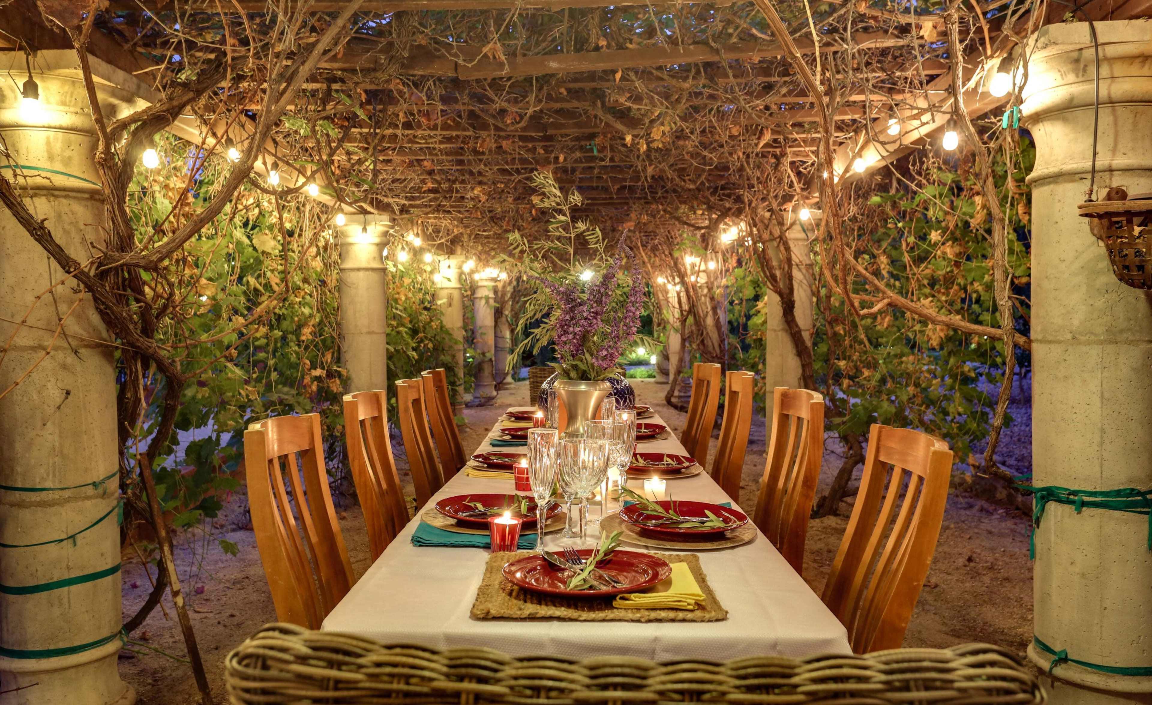 A long dining table is set under a vine-covered pergola, illuminated by string lights and surrounded by wooden chairs.