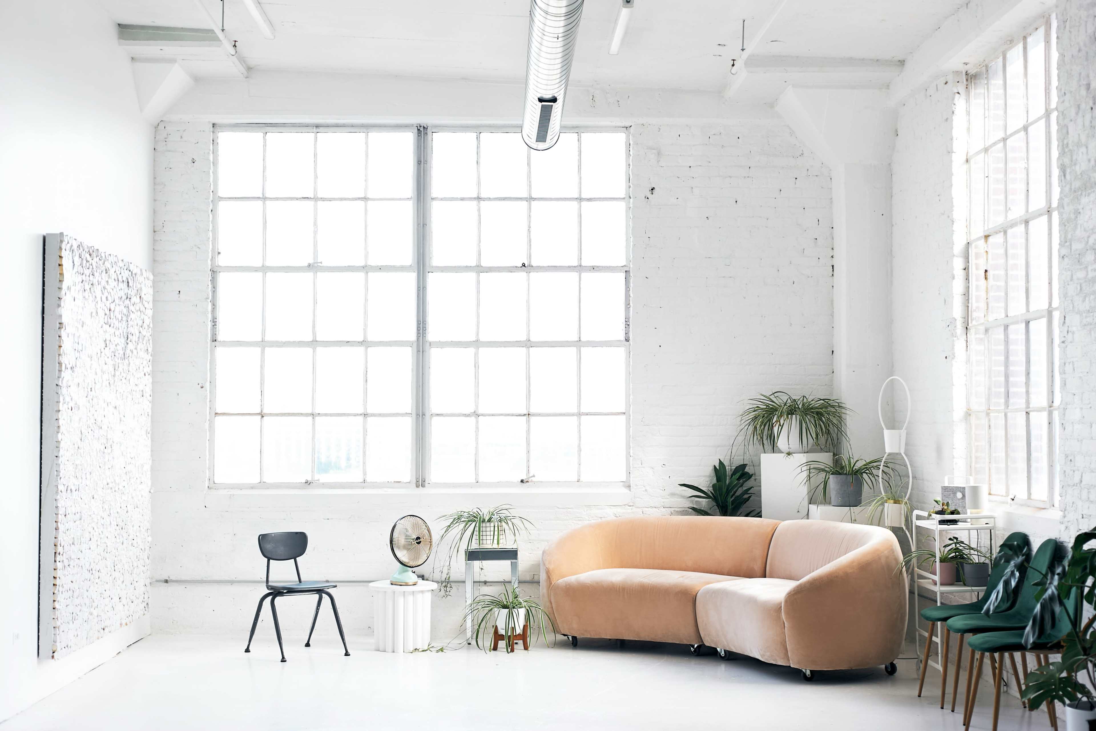 The image shows a spacious, well-lit room with large windows, featuring a curved pink sofa, a black chair, and several indoor plants.