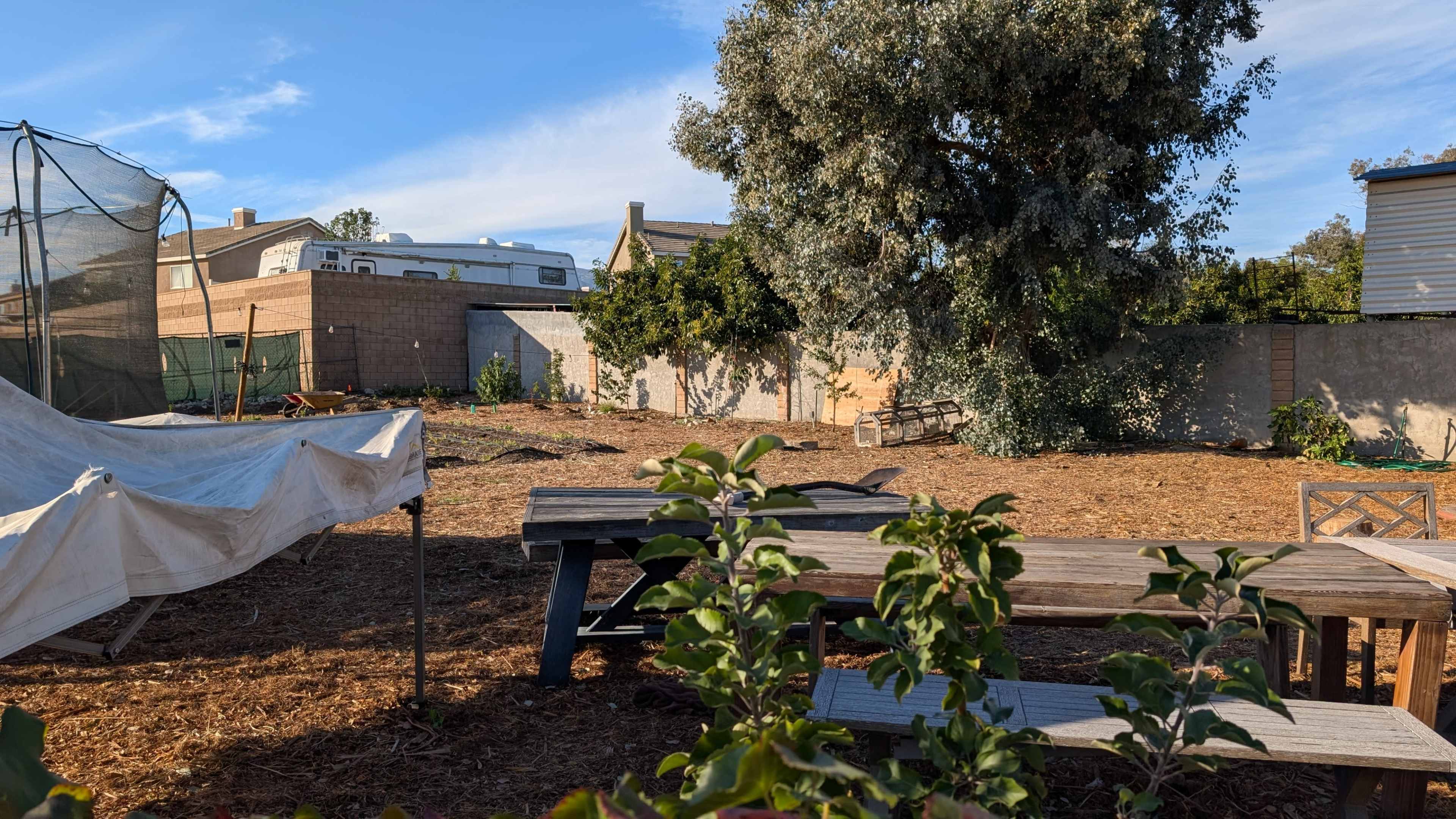 The image shows a spacious, cleared garden area with a wooden table in the foreground, surrounded by mulch and a few trees in the background.