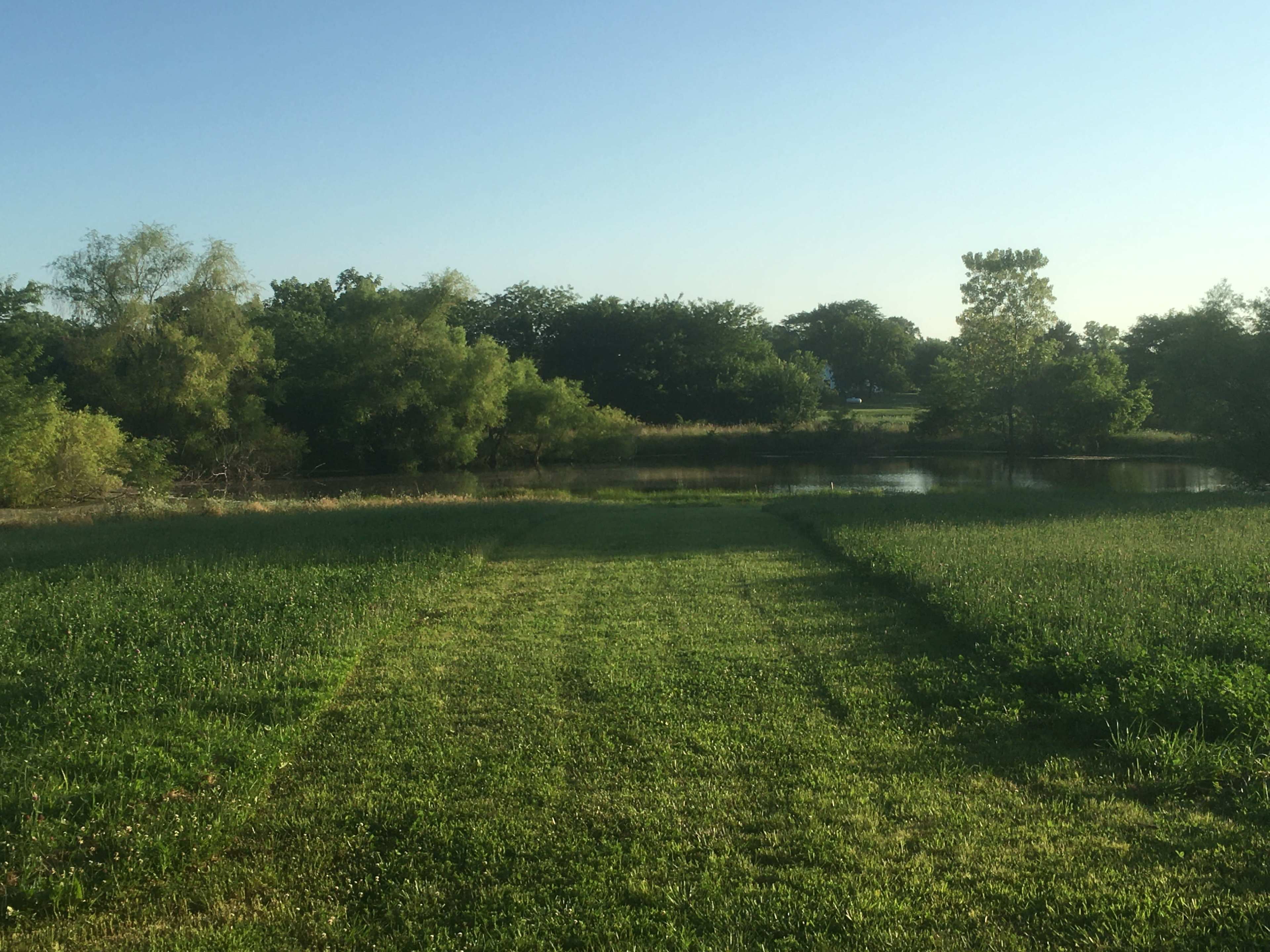 A neatly mowed path leads through a grassy area towards a pond surrounded by trees.