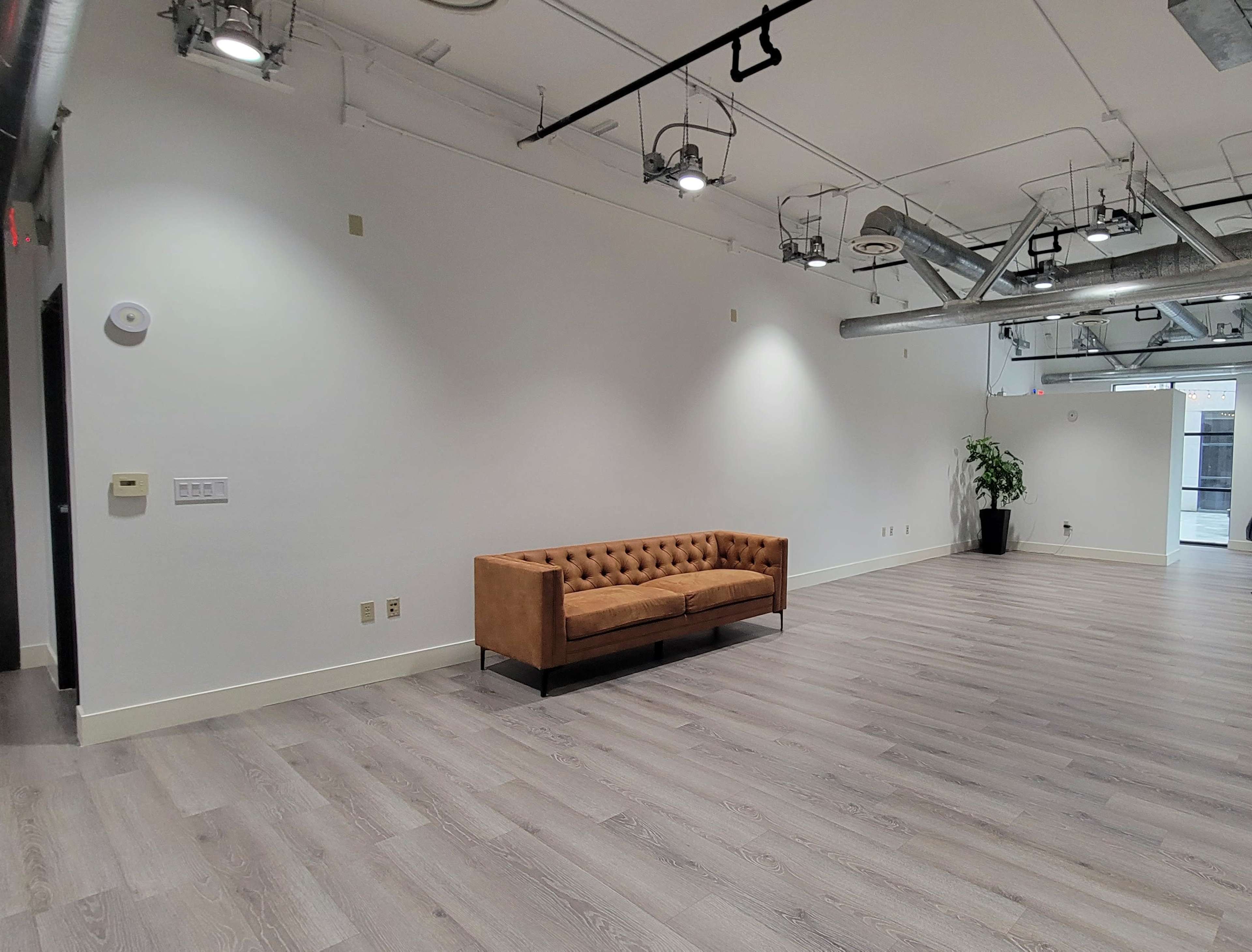 An empty room with light-colored wooden flooring, a brown tufted sofa against a white wall, and a potted plant in the corner.