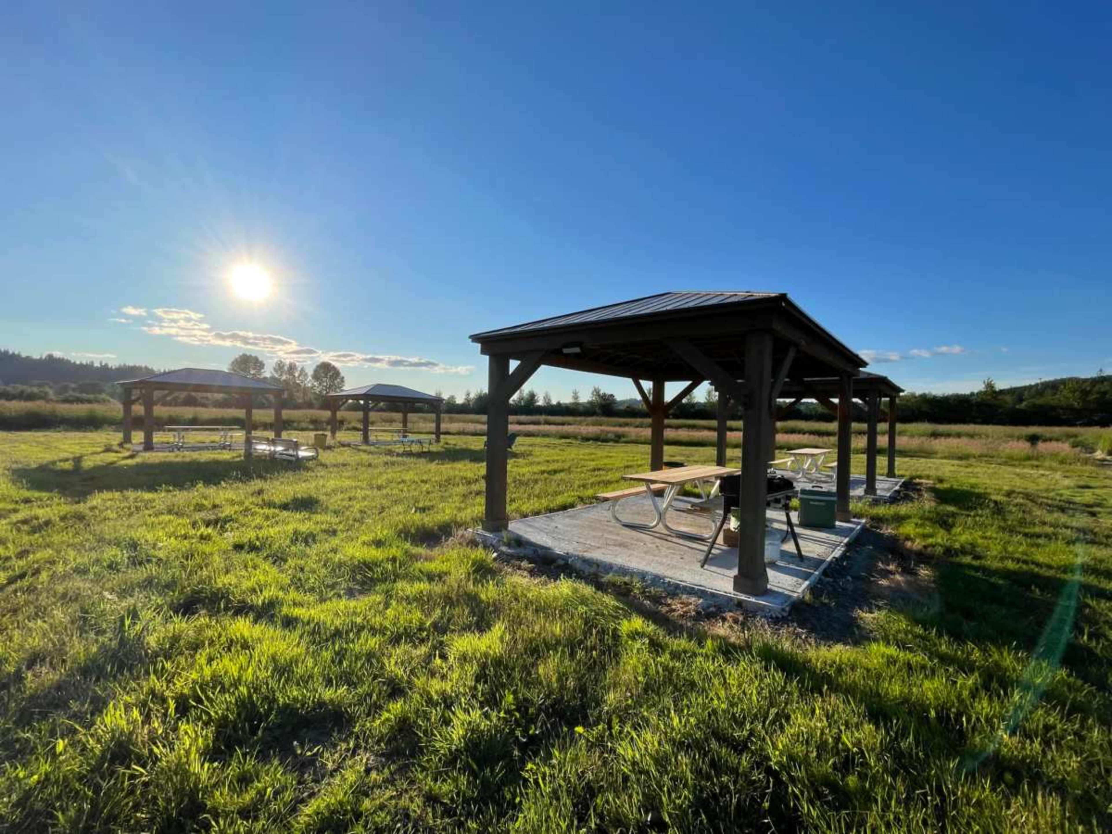 Several wooden gazebos in a grassy field under a clear blue sky with the sun setting in the background.