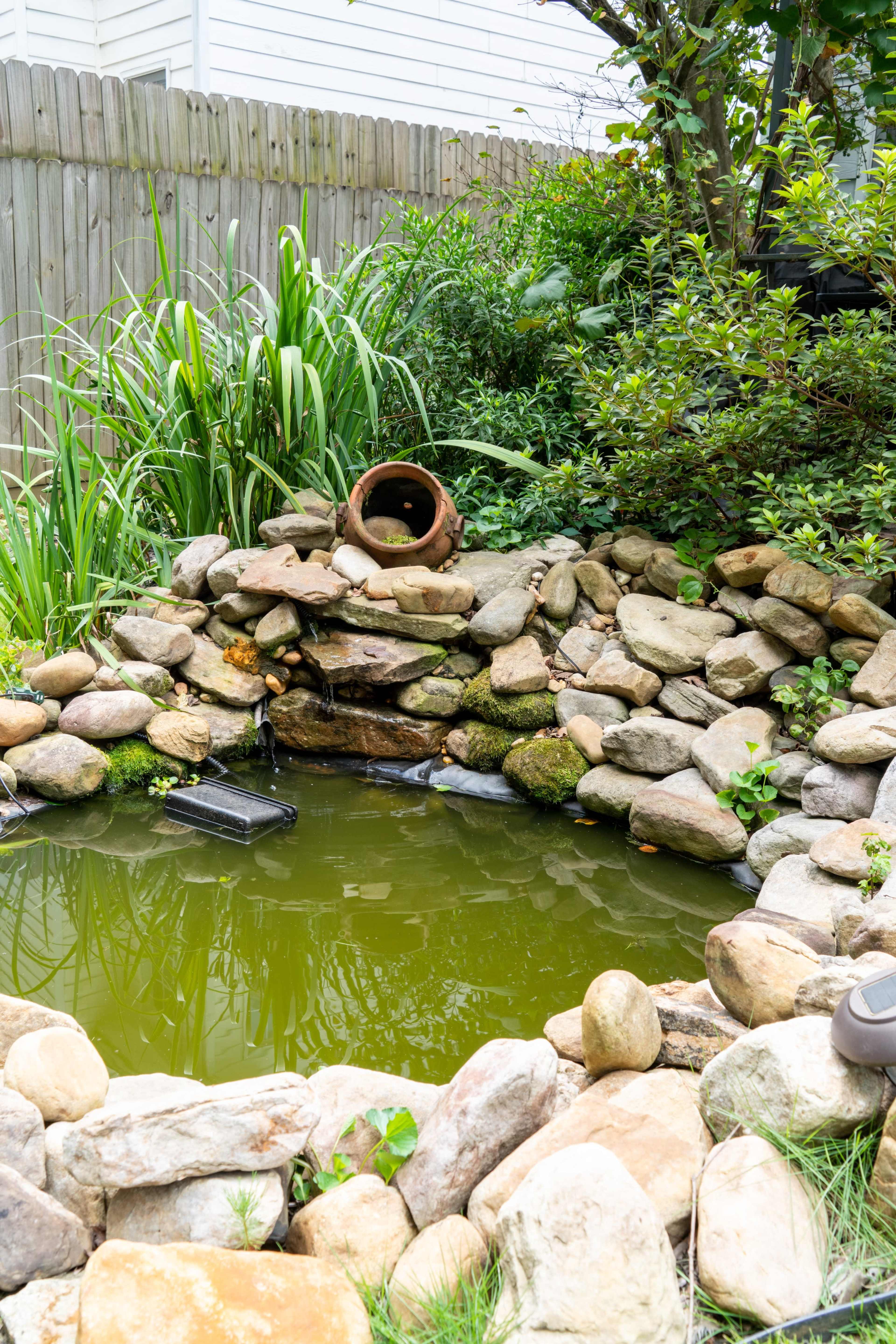 The image shows a small pond surrounded by a curved rock border, with green plants and a clay pot partially visible above the water.