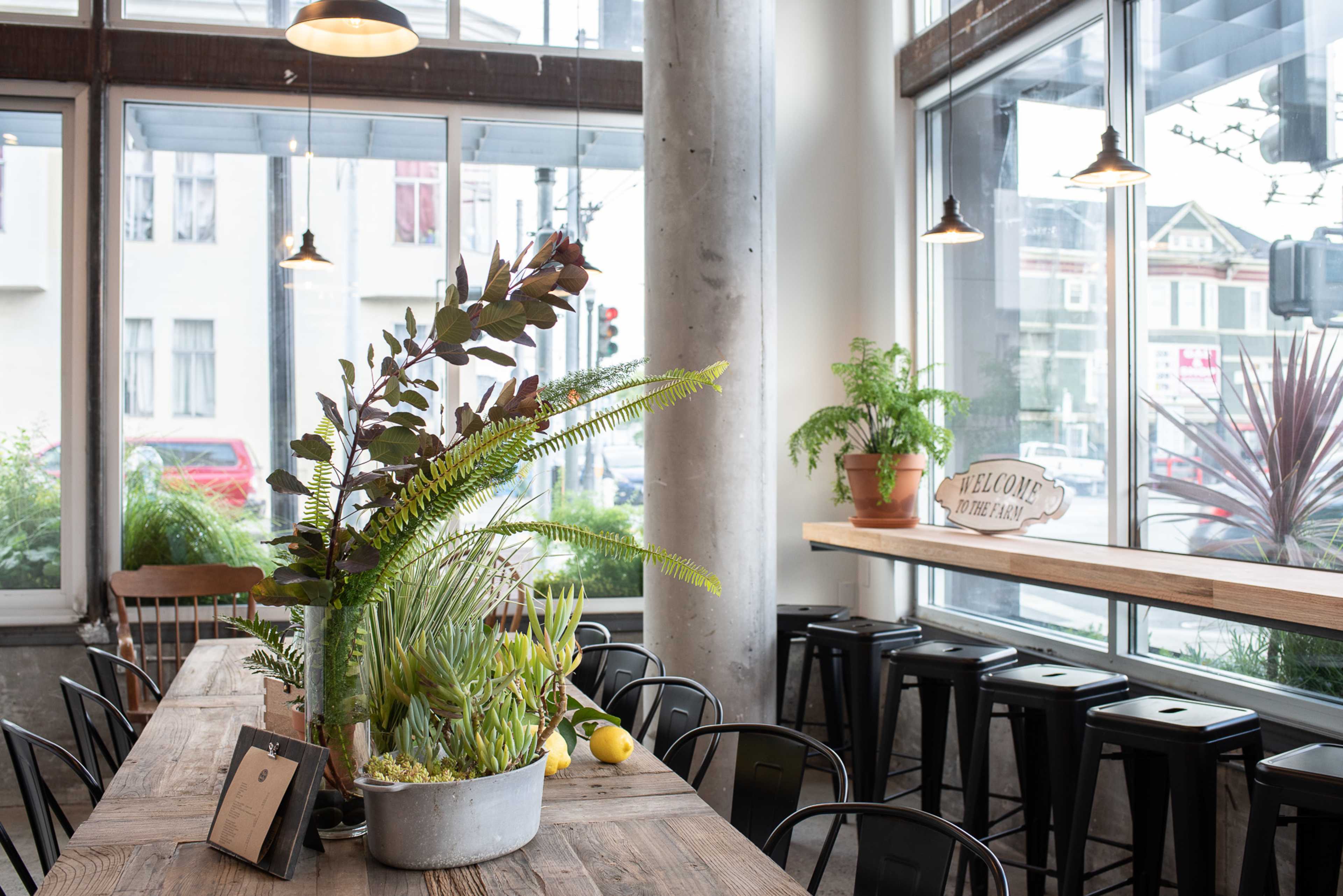 A light-filled café interior with a wooden communal table, metal stools, and various potted plants positioned throughout the space.