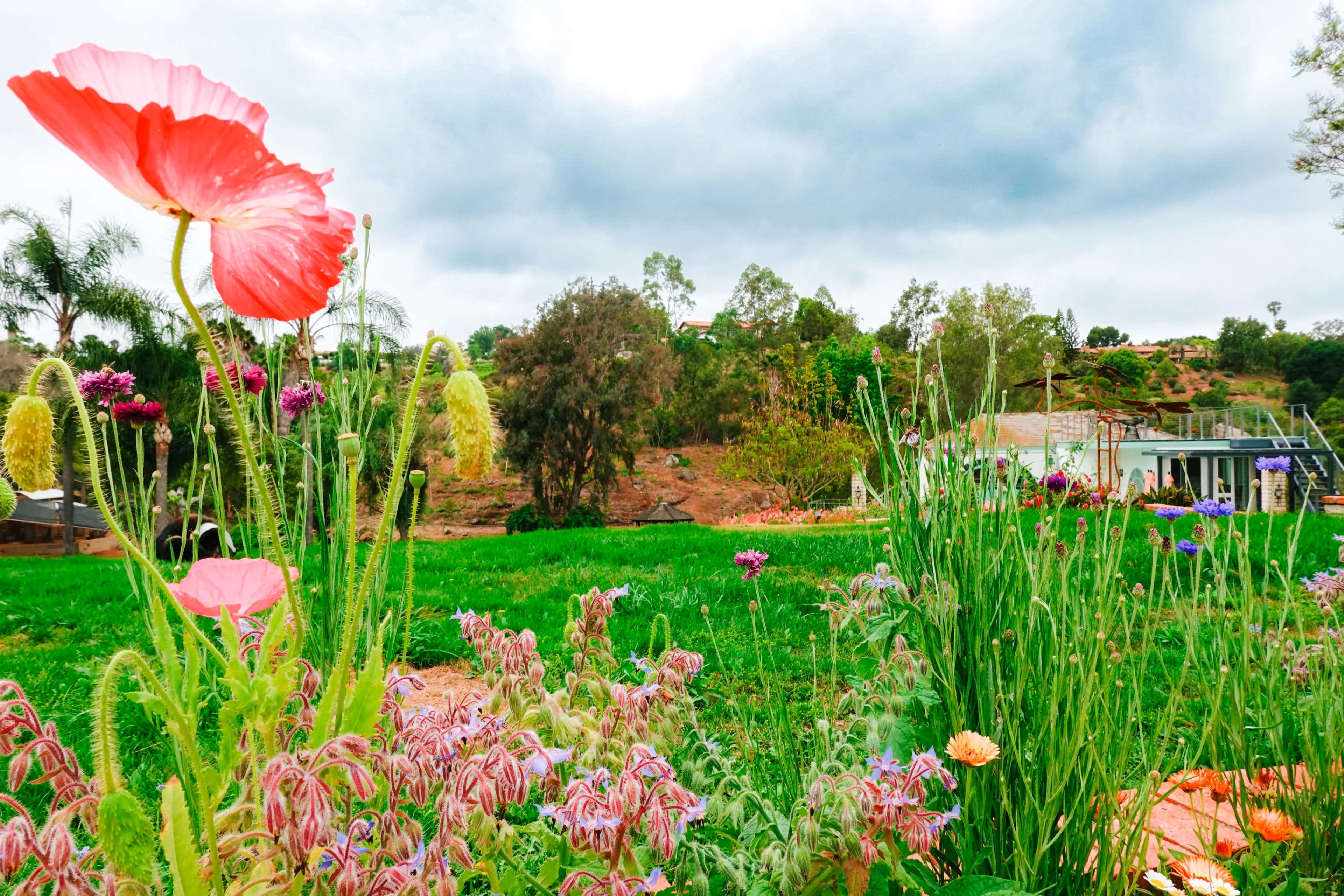 5 Acre Enchanted Farm Estate with Maximalist Interior Image in Bonsall, Bonsall, CA