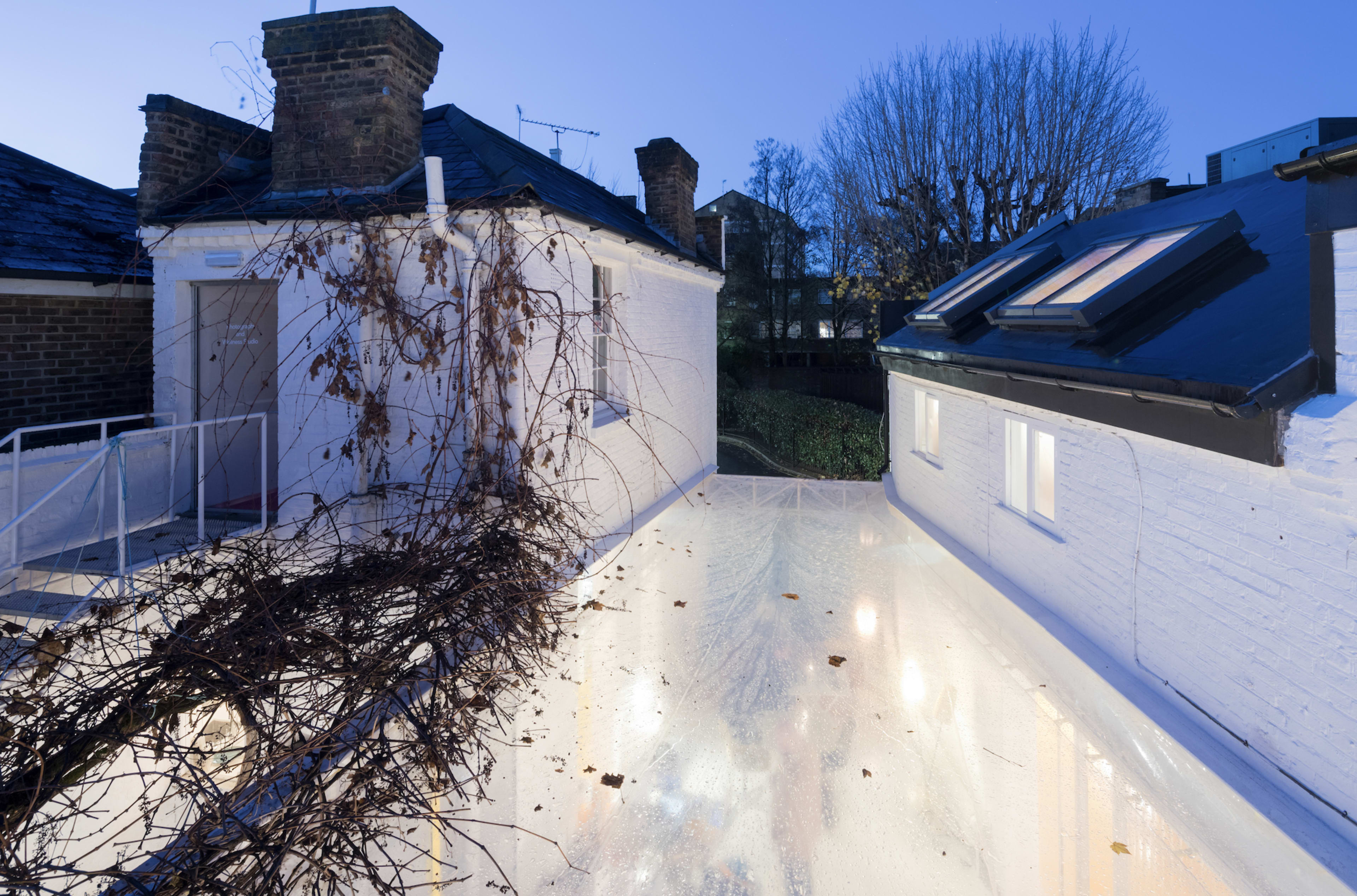 A narrow, white rooftop connects two buildings, with bare vines draping over the edge and a twilight sky in the background.