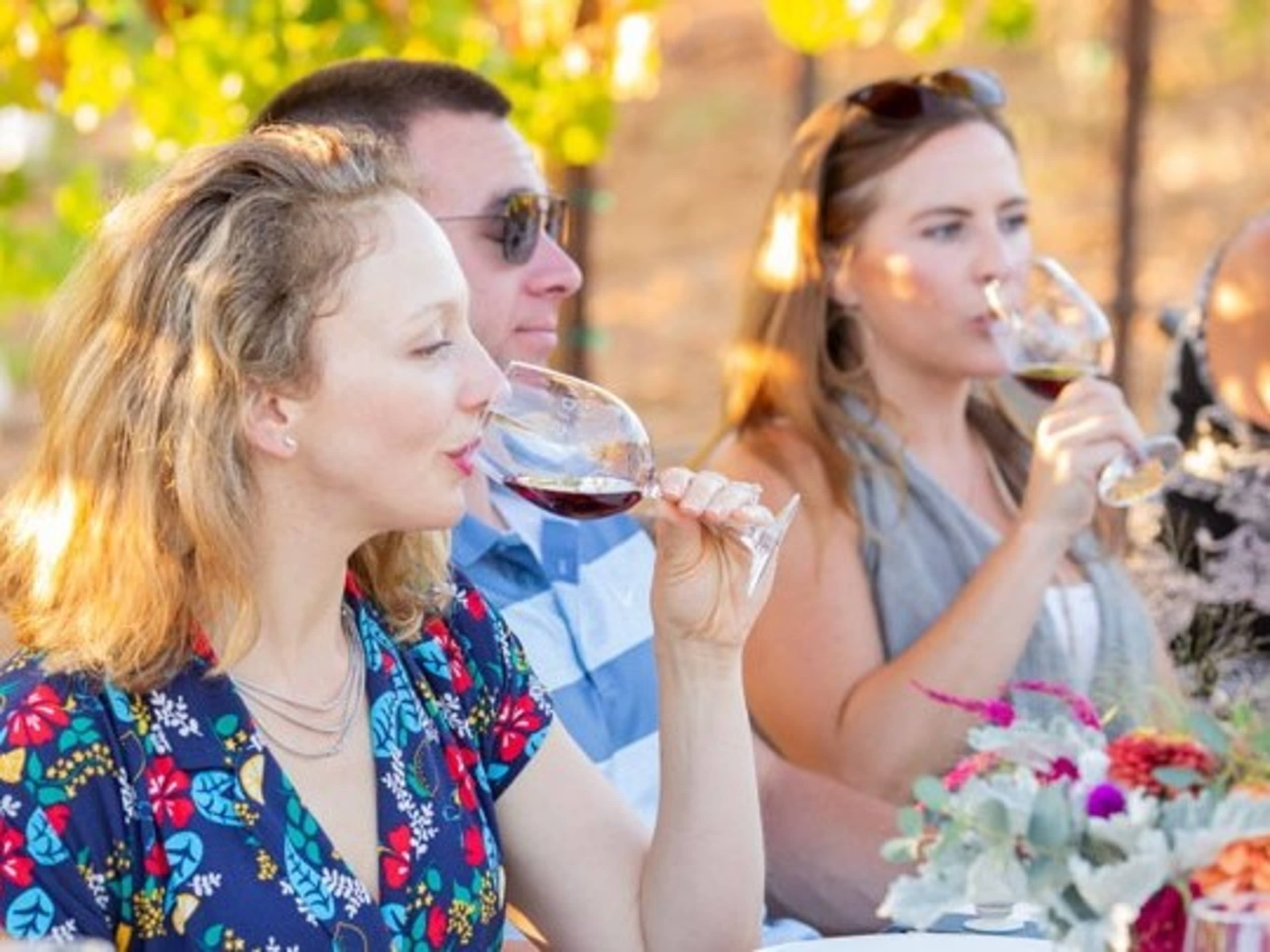 Wine Tasting and Tour