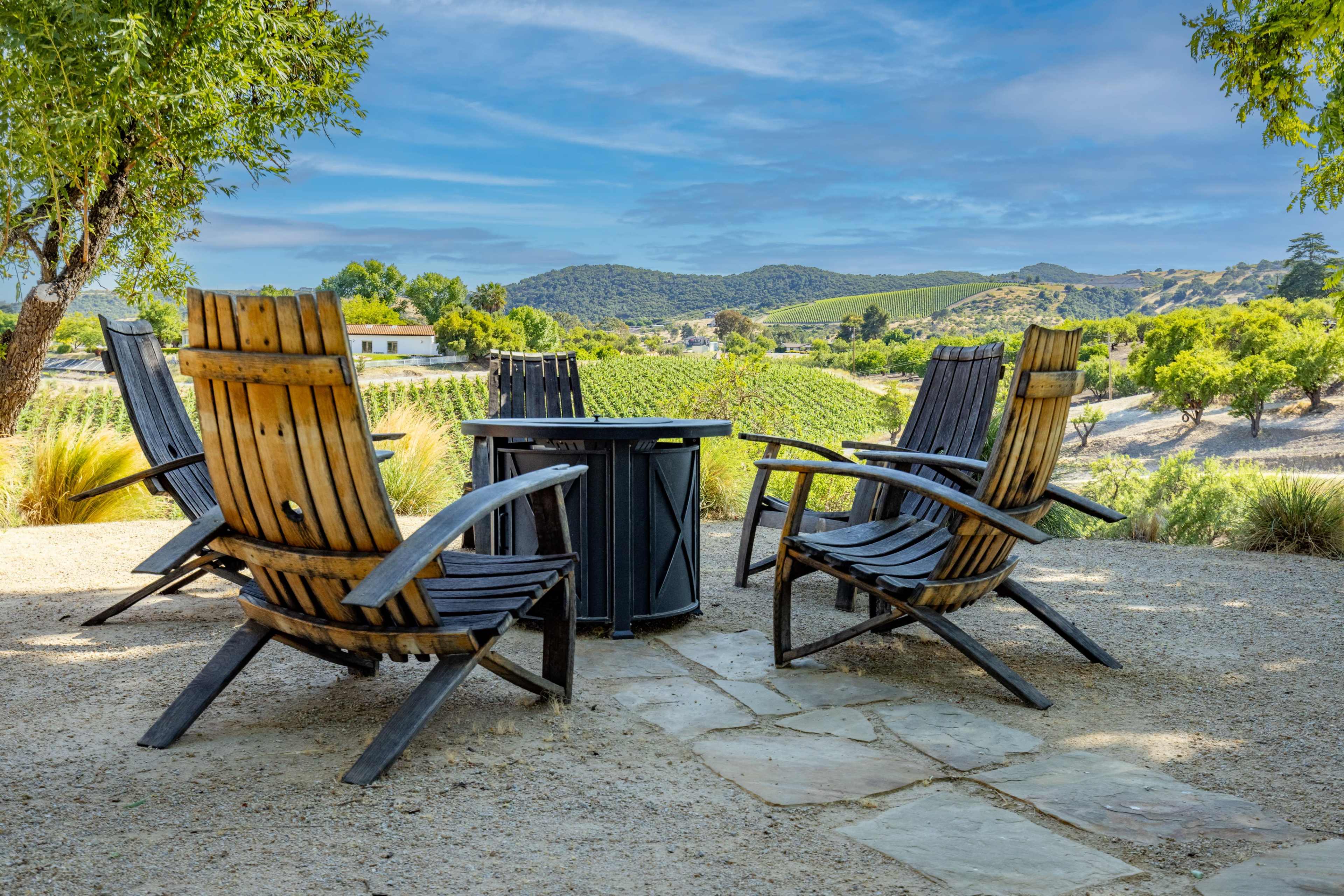 Modern Rustic with Vineyard Views - Your New Favorite Space Image in , Paso Robles, CA