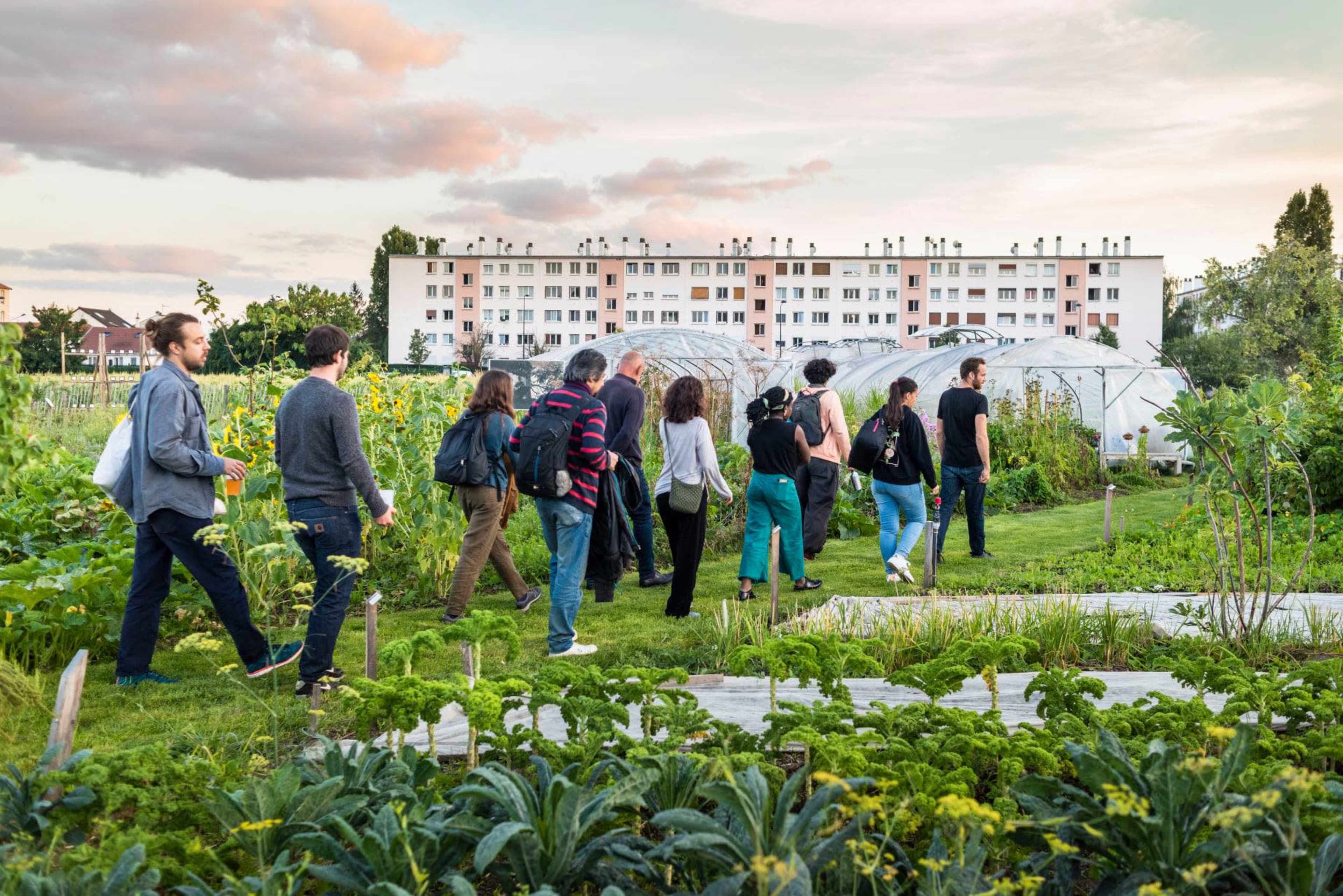 lieu urbain, ferme urbaine, permaculture, serre Image dans , SAINT DENIS, 
