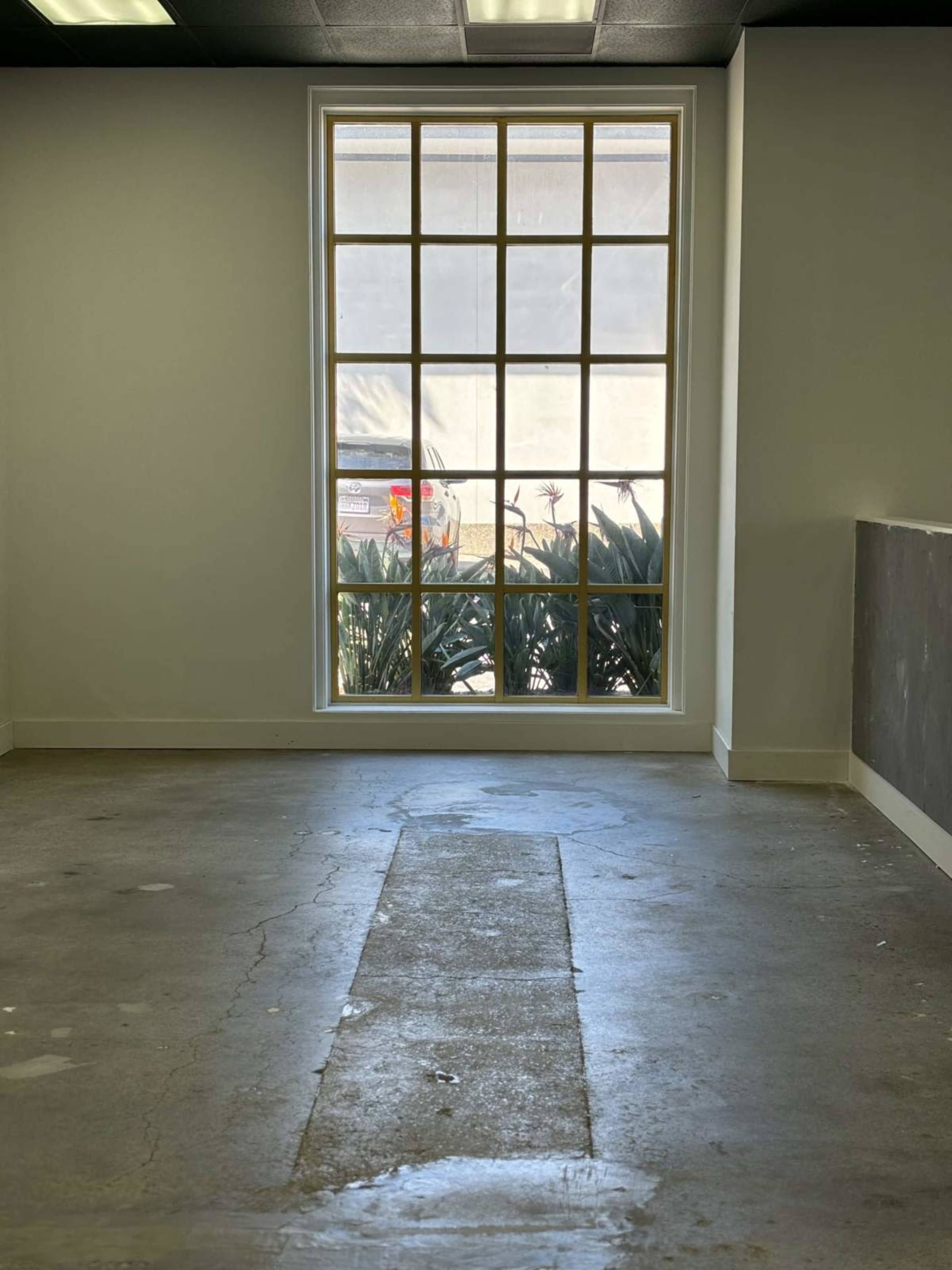 The image shows a vacant room with a large window that has multiple panes, revealing a view of greenery outside.