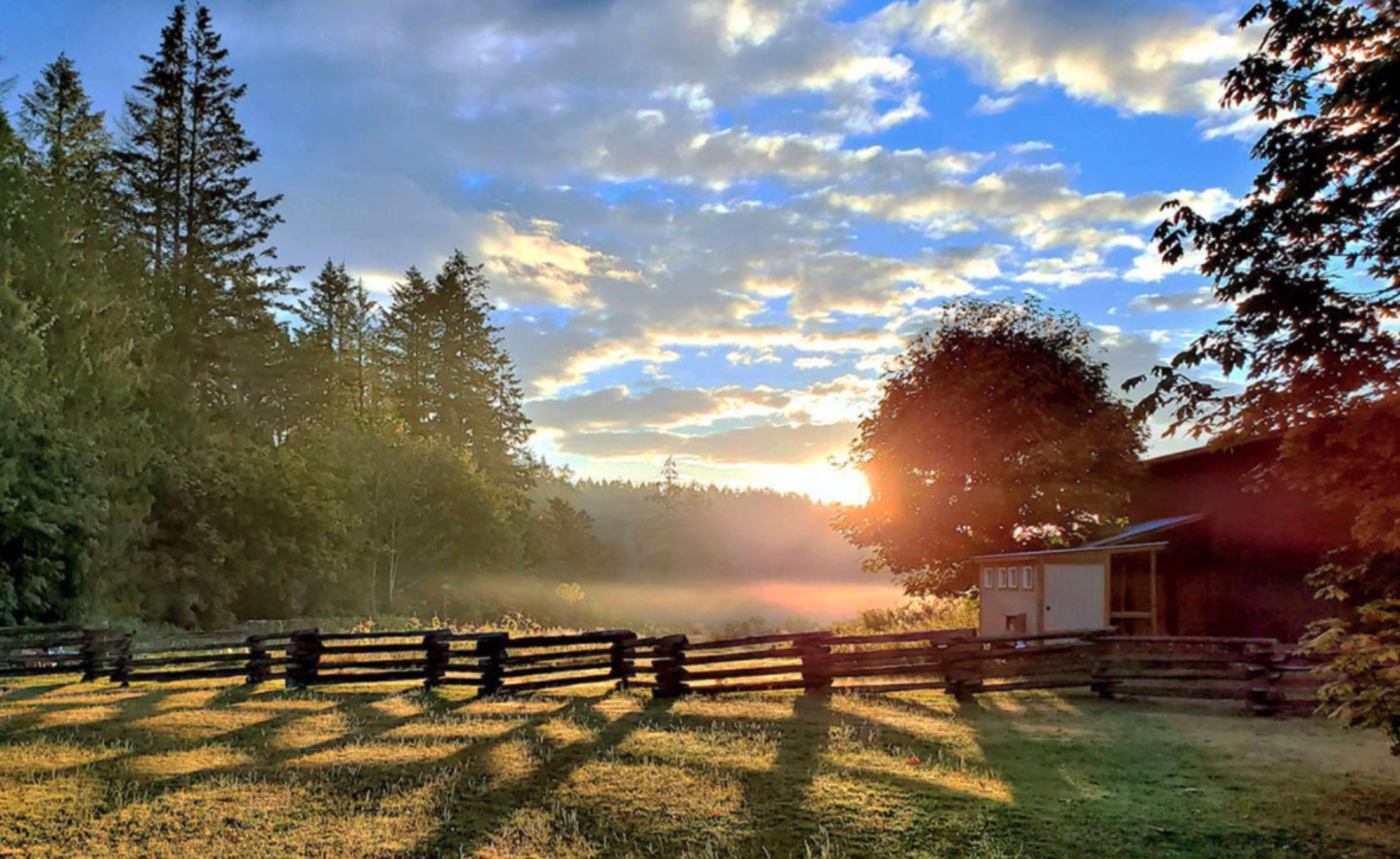 The sun rises over a misty landscape, casting long shadows from a wooden fence and illuminating the trees and sky.