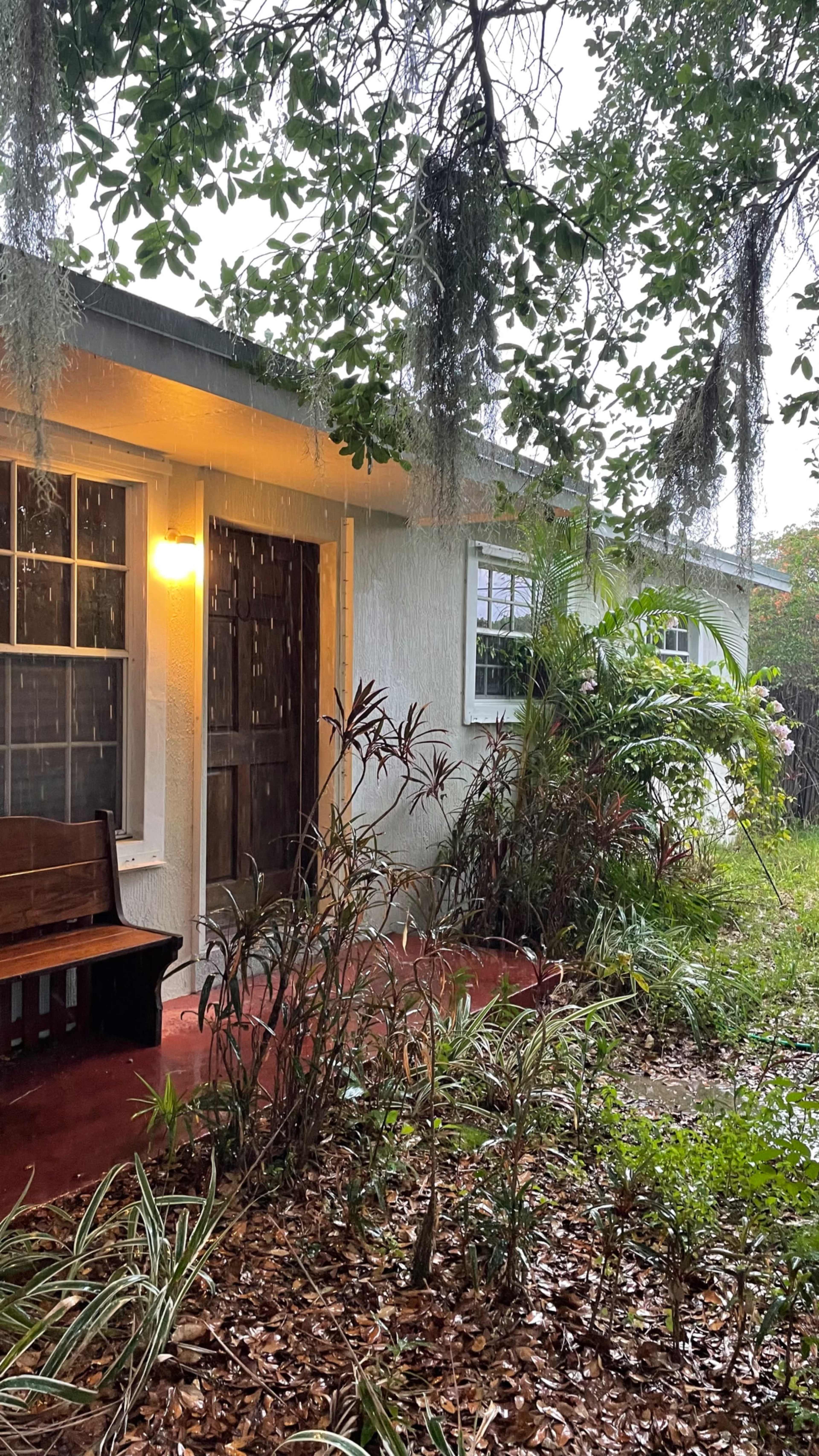 A porch sits in front of a house surrounded by overgrown plants and falling rain.