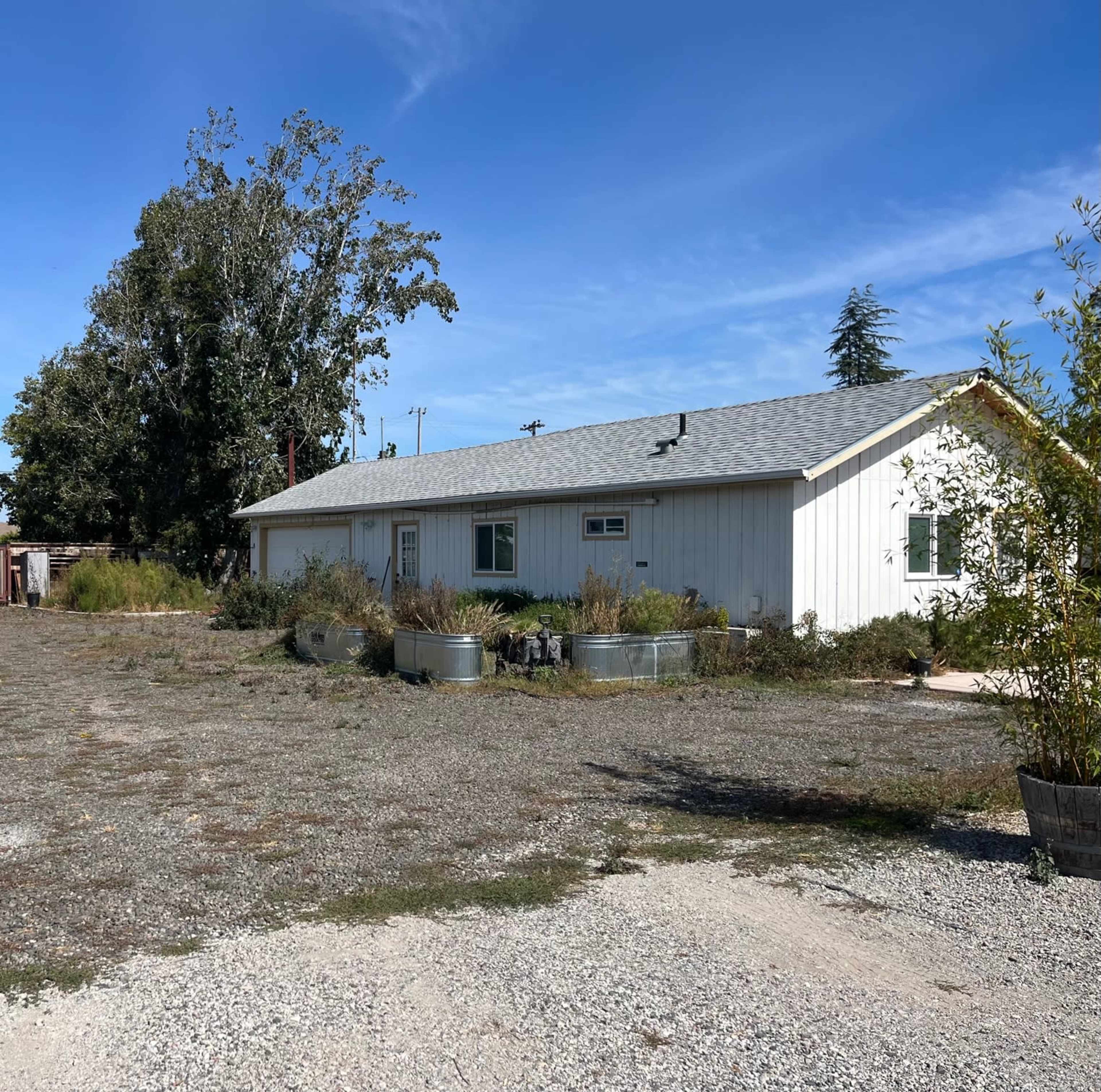 A single-story white house with a gray roof sits on a gravel lot surrounded by overgrown plants and trees.