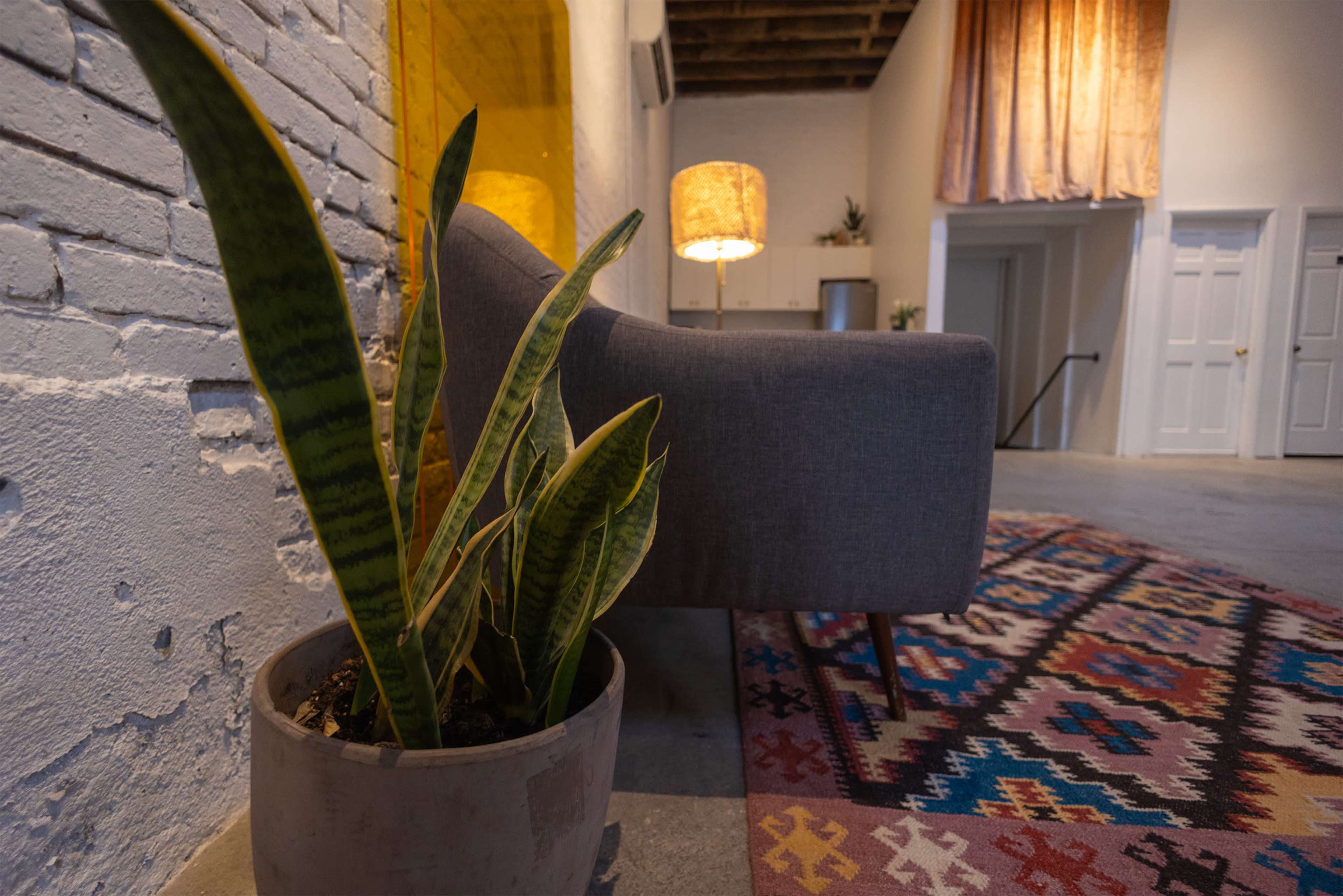 A couch is positioned against a white brick wall beside a large plant in a pot, with lamps illuminating the room and a patterned rug on the floor.