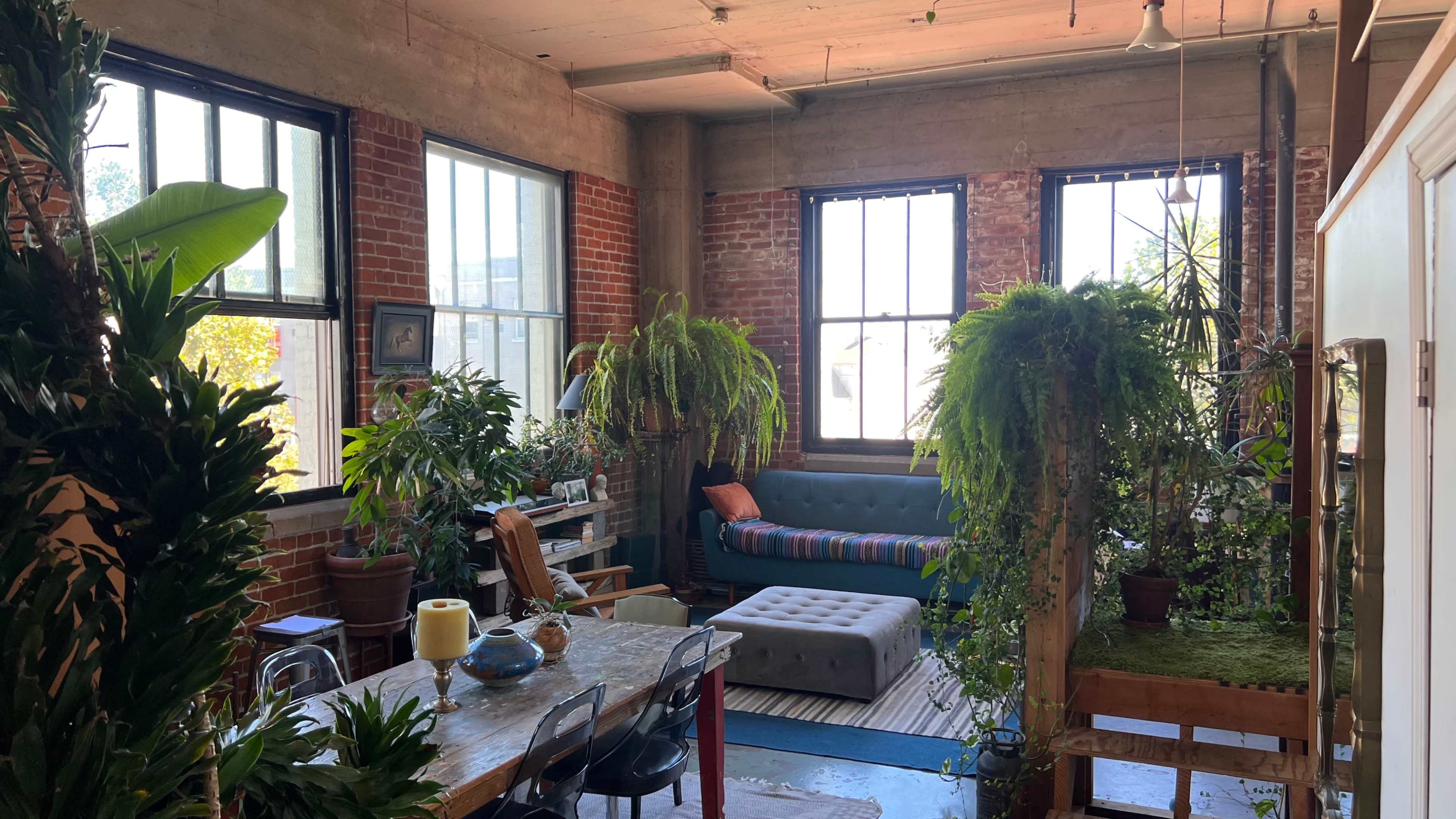 A spacious living area adorned with large windows, exposed brick walls, and various indoor plants, featuring a gray couch and a dining table.