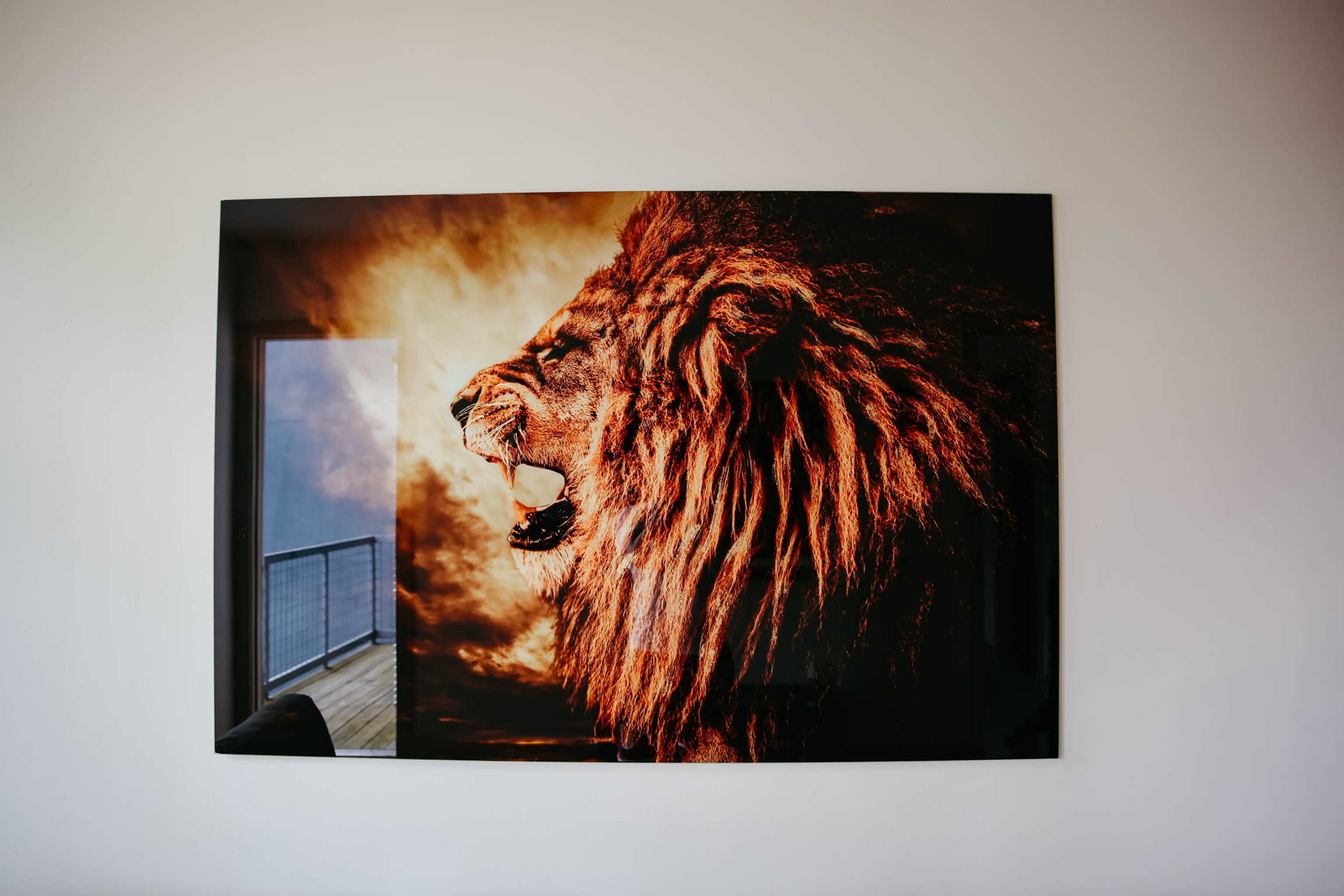 The image features a large, framed close-up of a lion's head against a dramatic background.