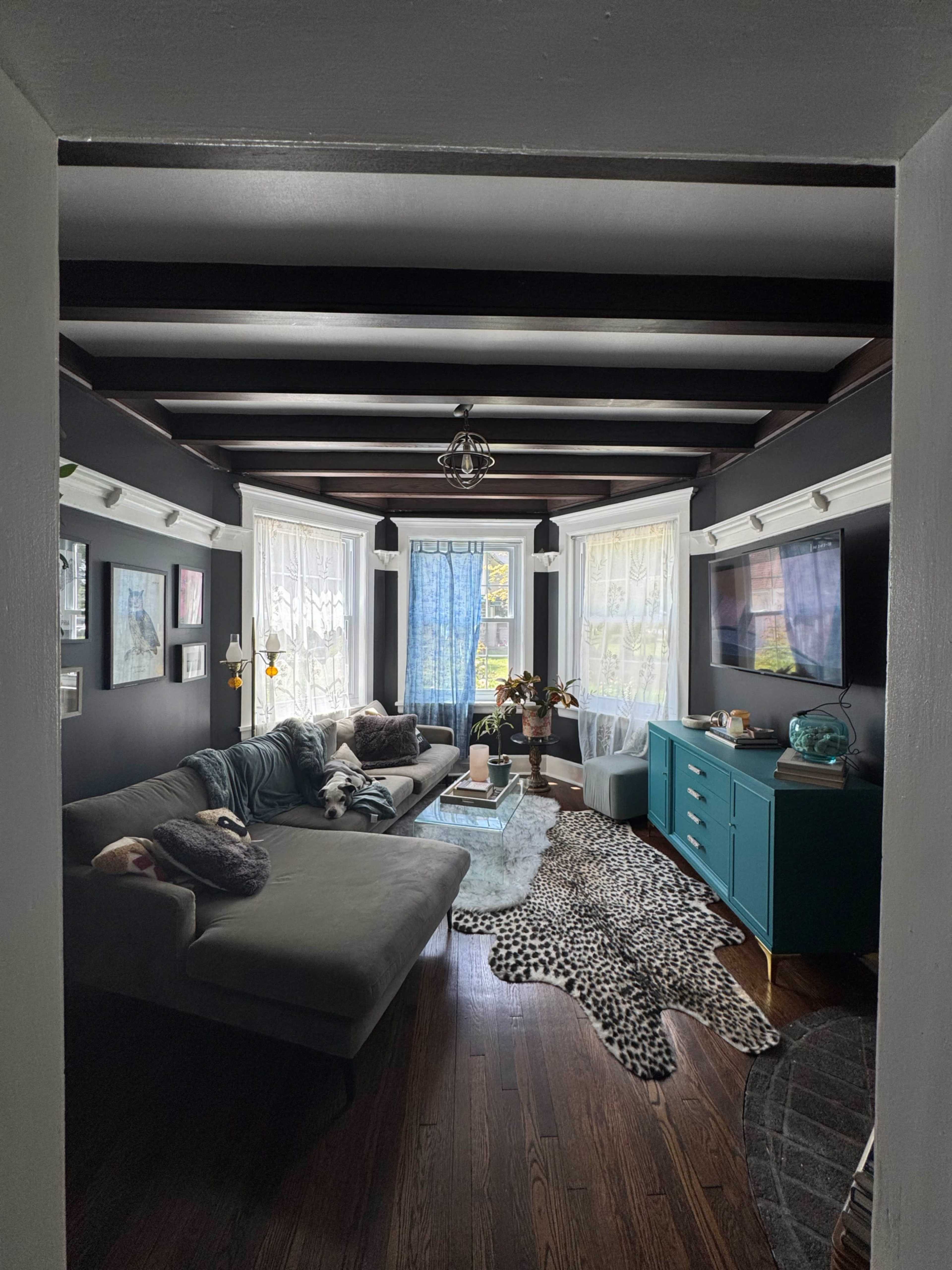 A living room features a gray sofa, a teal cabinet, and large windows adorned with sheer curtains, creating a cozy atmosphere.