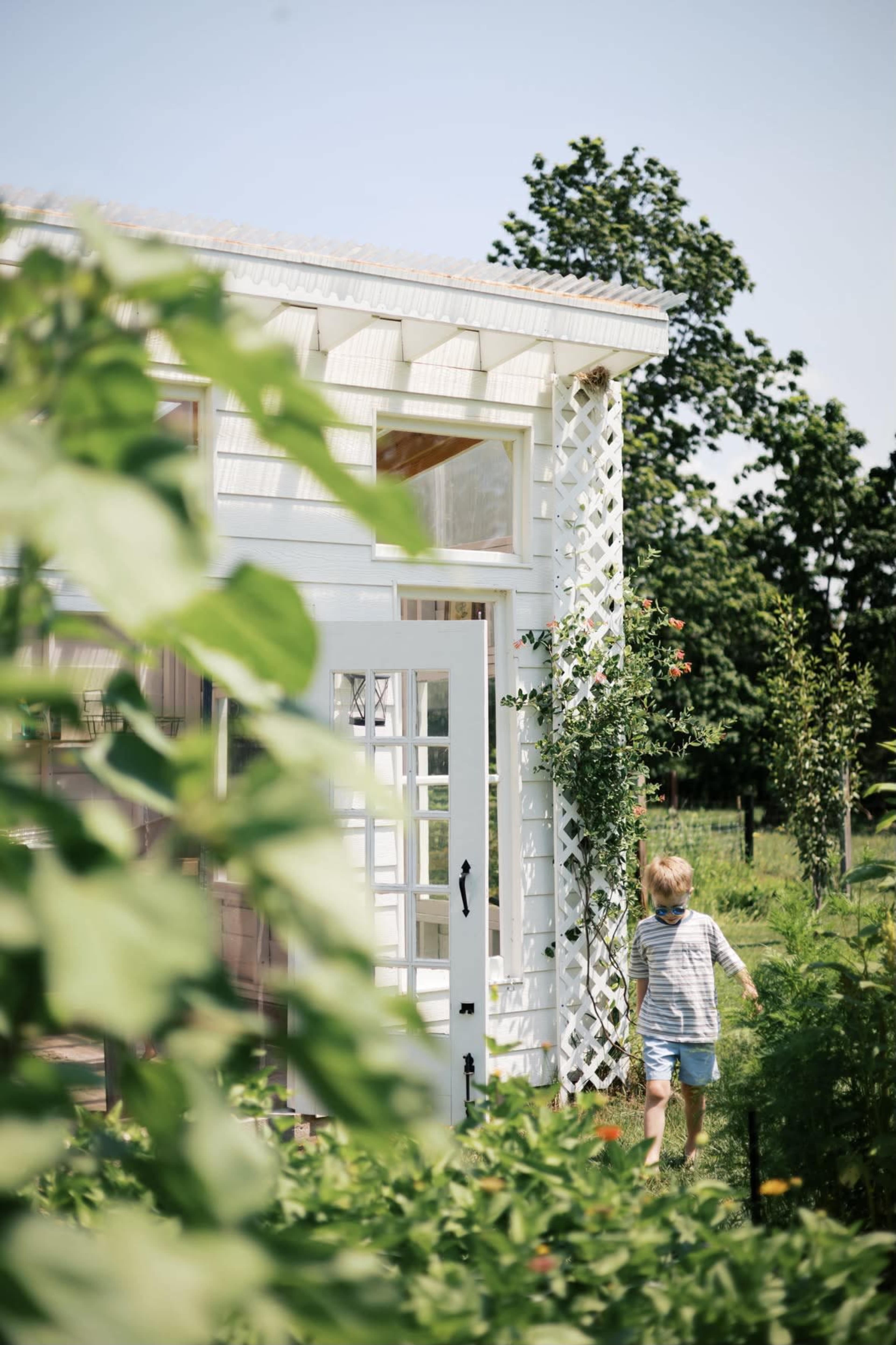 A child walks by a white garden shed surrounded by greenery on a sunny day.