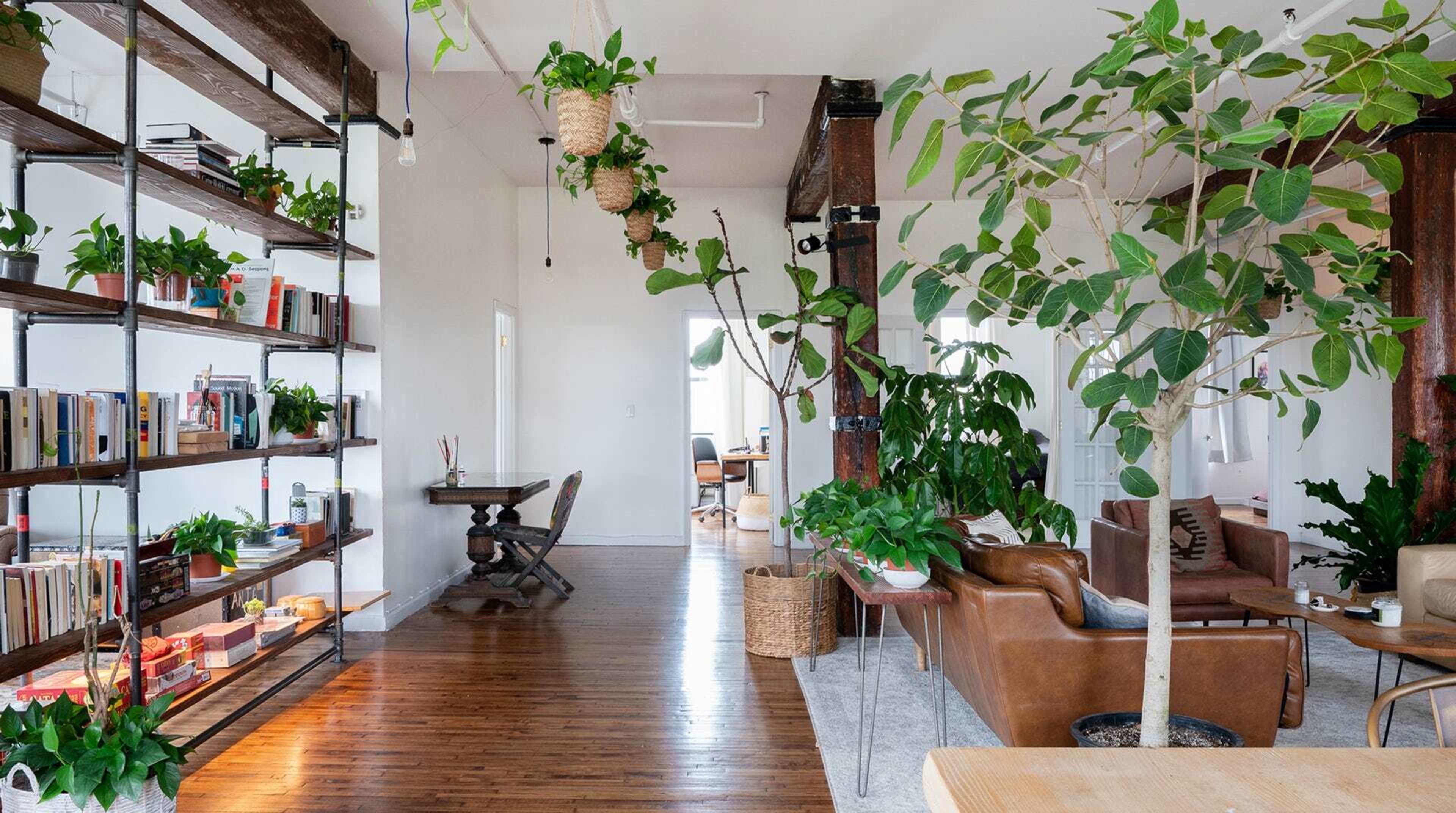 A bright, modern interior space with wooden flooring, bookshelves filled with books, and several indoor plants arranged throughout.