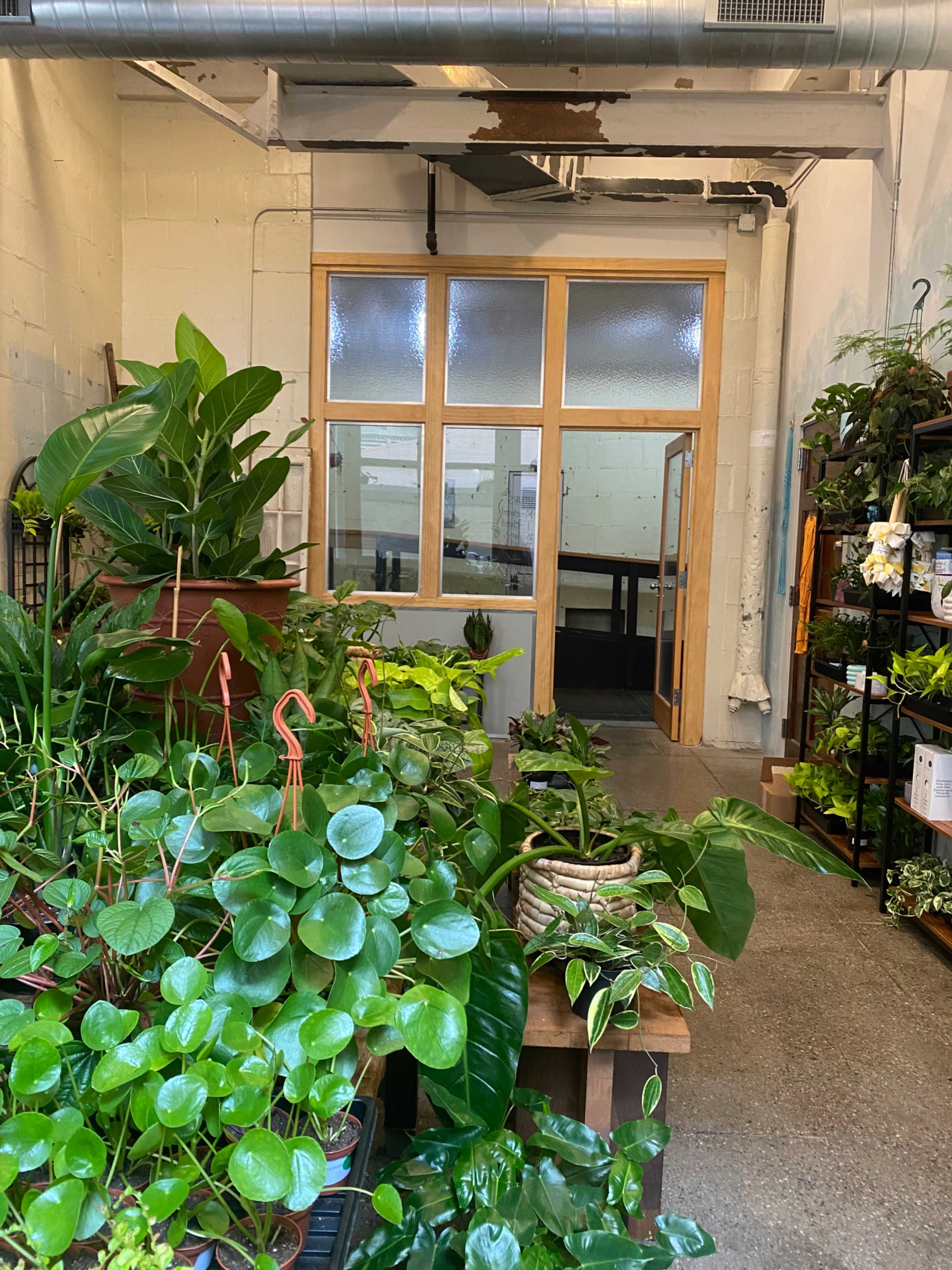 The image shows a plant shop interior with various potted plants displayed on tables and shelves, leading to a glass-paneled door at the back.