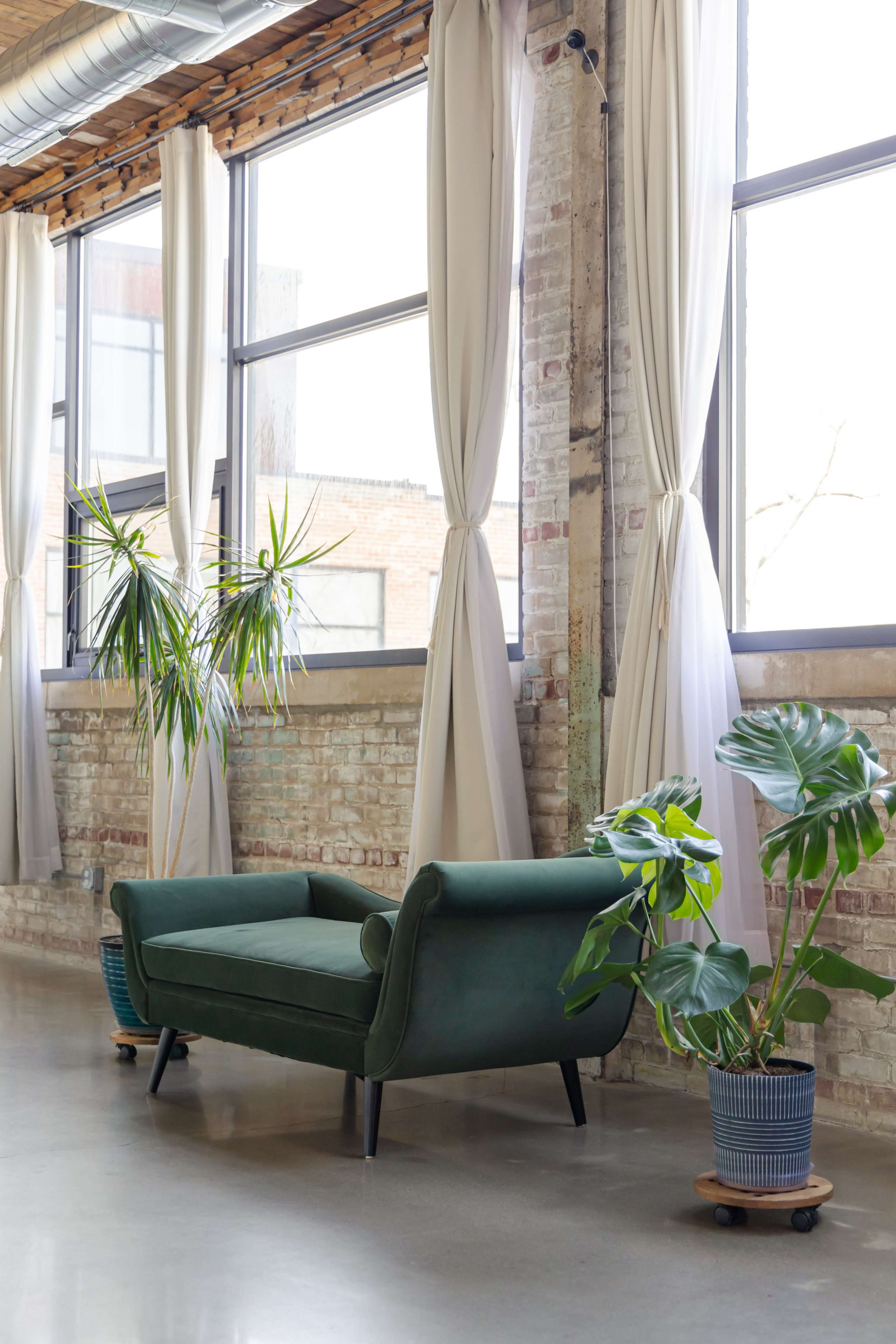 A green sofa is placed next to large windows adorned with light curtains, beside potted plants in a modern, industrial-style interior.