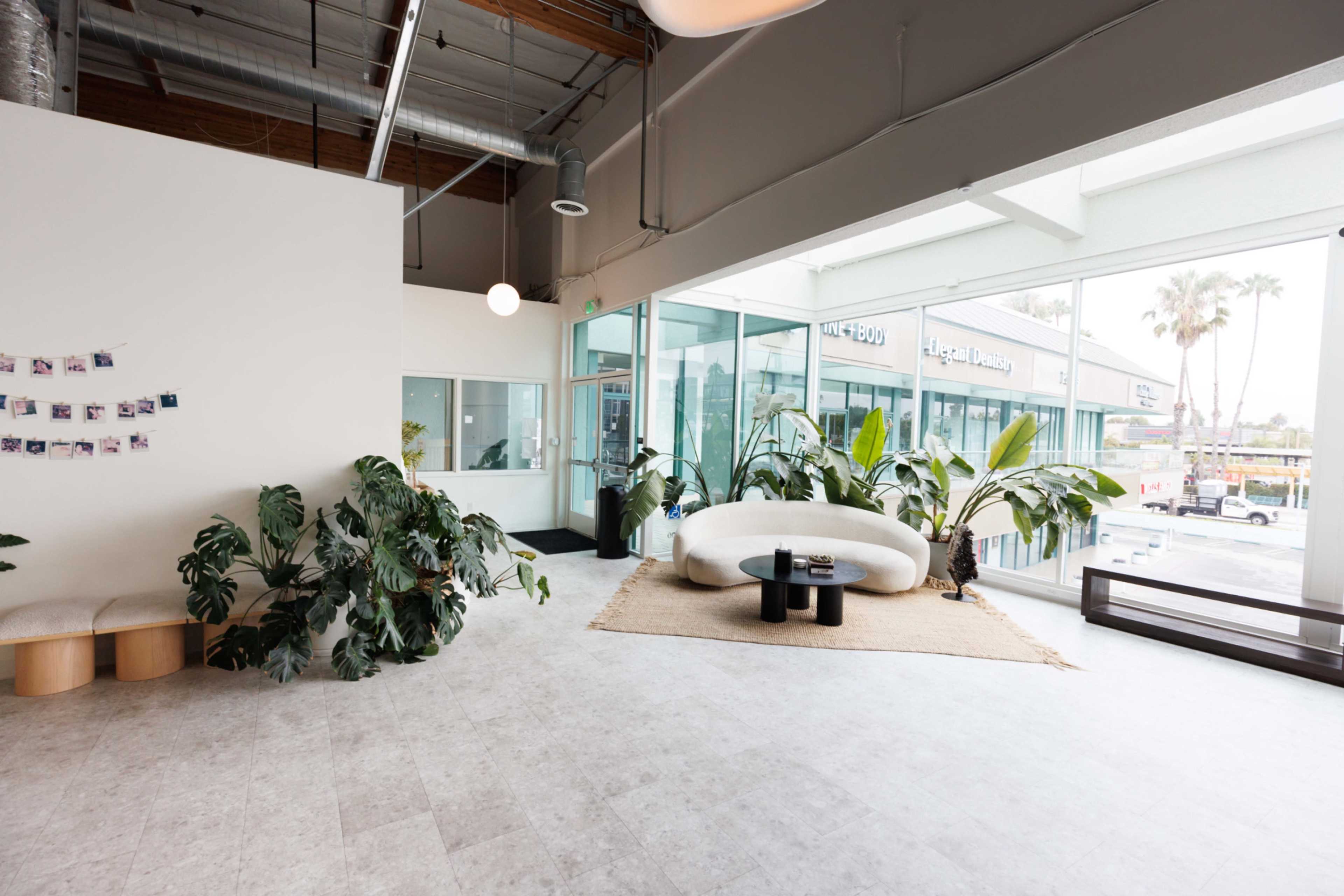 The image shows a modern open-concept office space featuring large windows, plants, and minimalist furniture, with a light and airy ambiance.