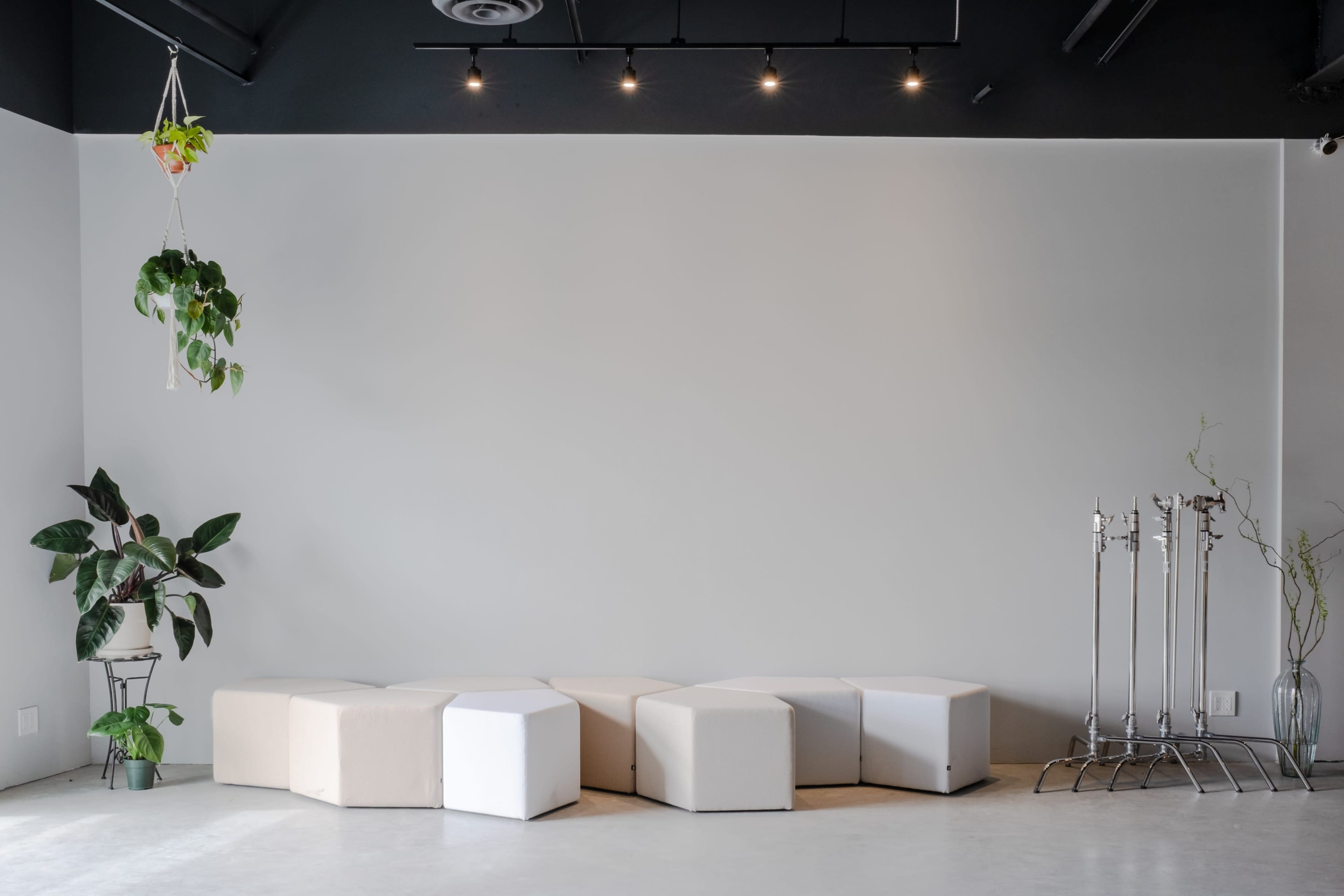 A minimalist interior with a row of hexagonal seating pieces against a plain wall, accompanied by potted plants and hanging greenery.