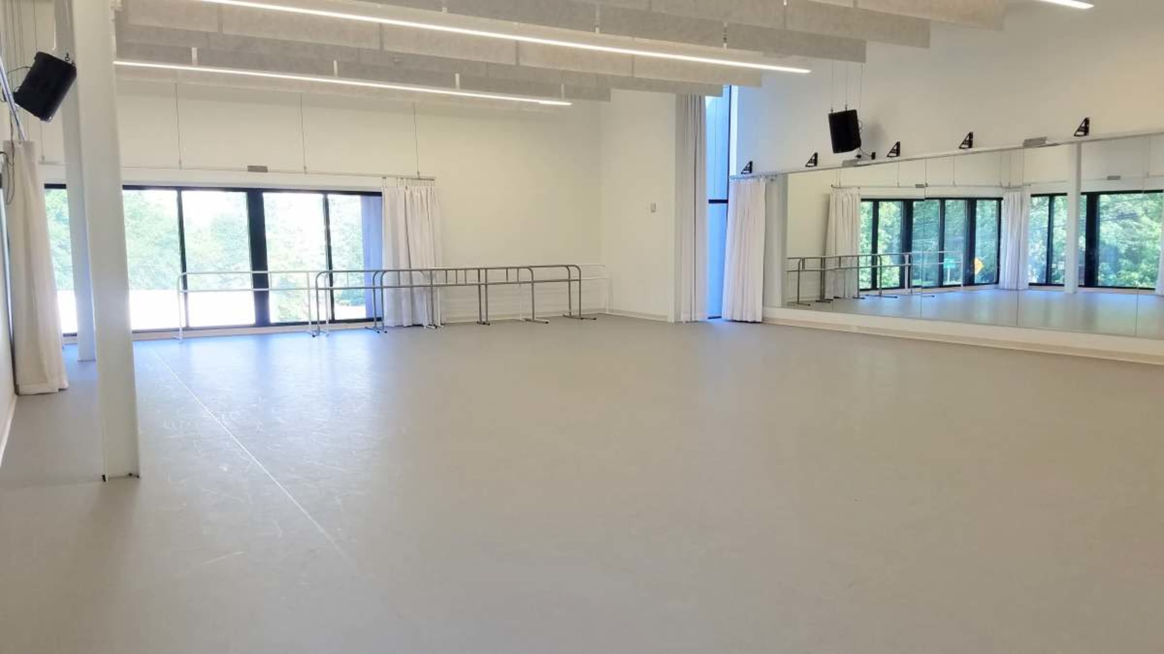 The image shows a spacious, well-lit dance studio with large mirrors, ballet barres, and floor-to-ceiling windows.