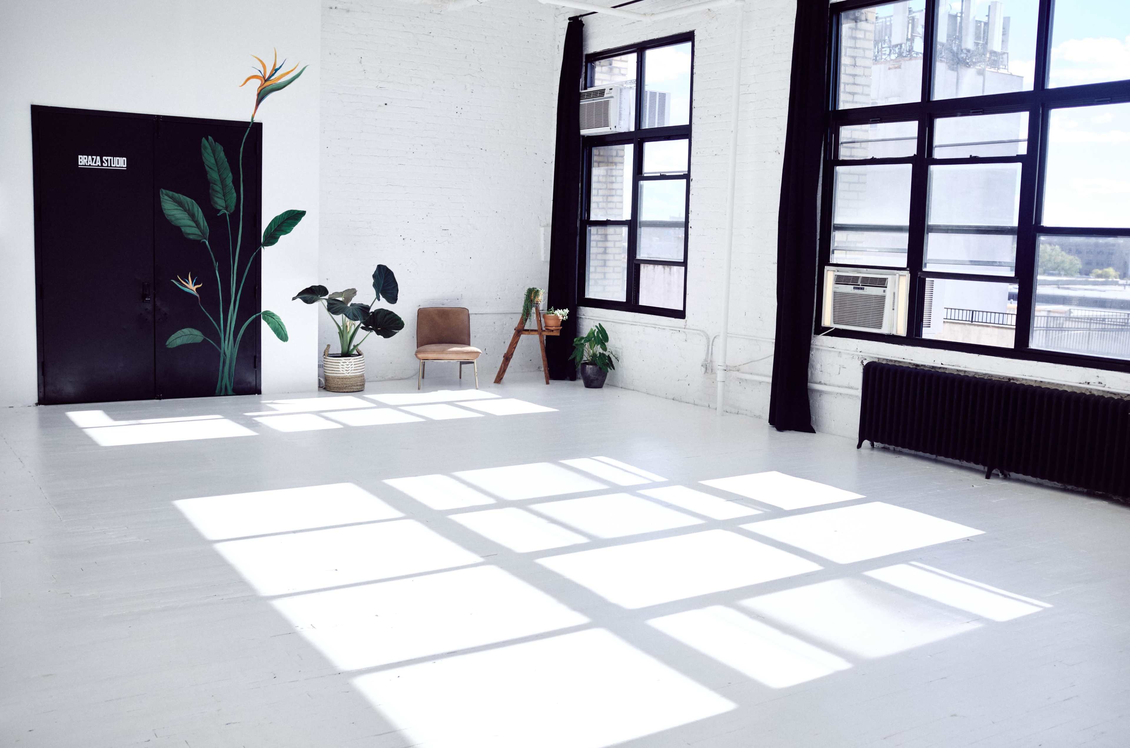 A bright, spacious room with large windows, featuring a mural of a plant, a chair, and a few potted plants along with distinct shadows on the floor.