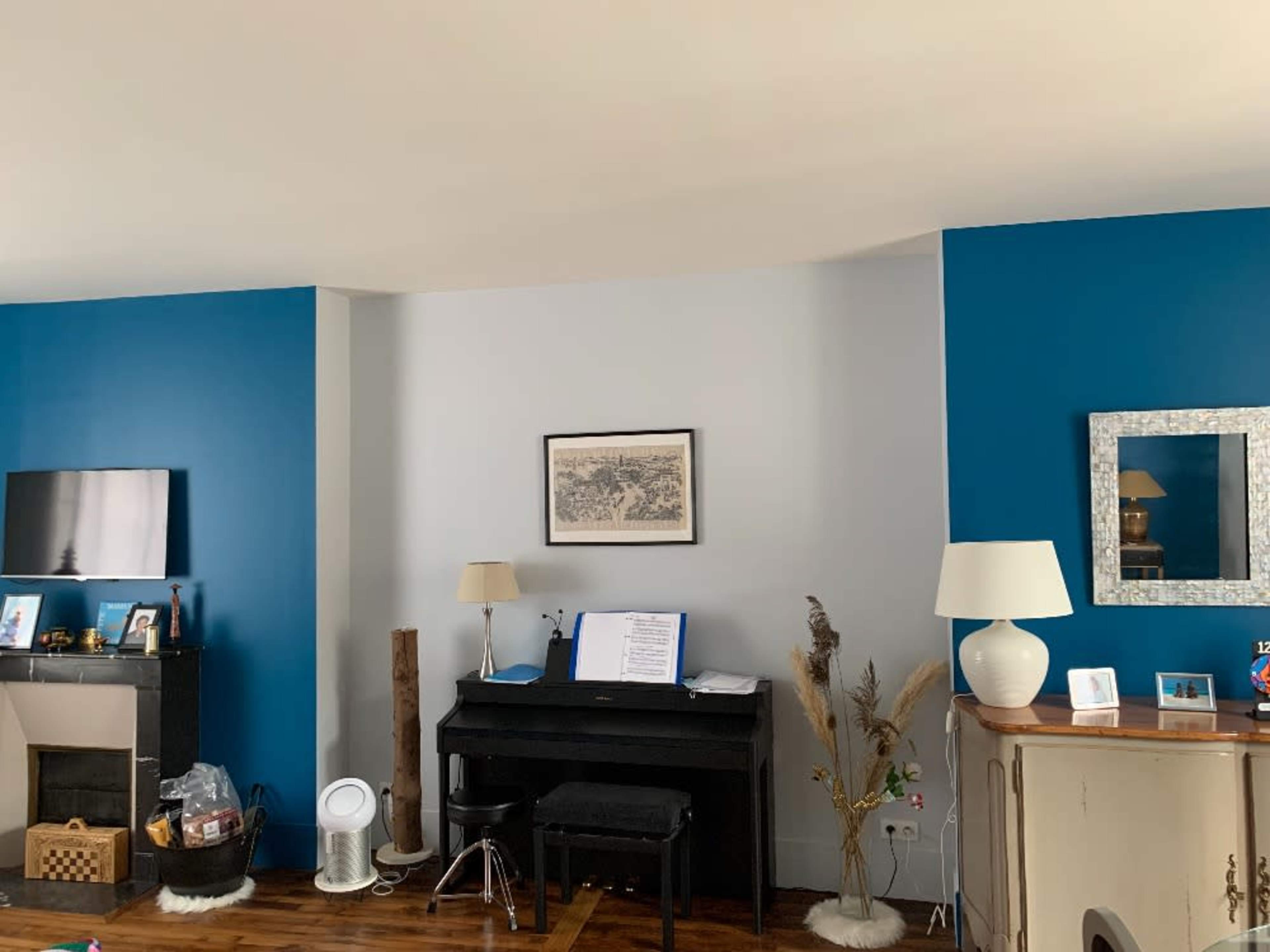 Salon salle à manger pièce de 40 M2