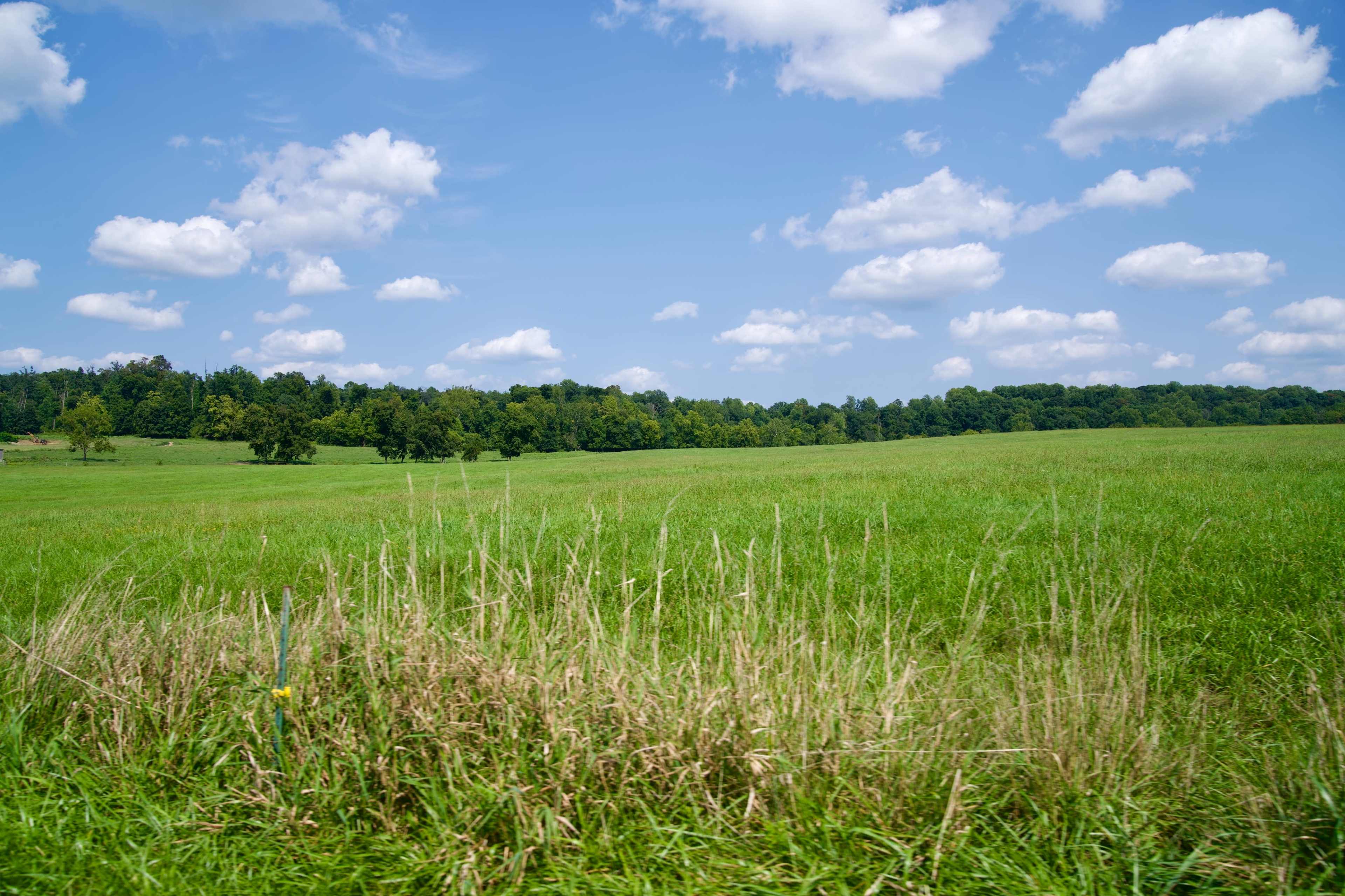 100 Acre Farm: Cows, Rolling Fields, Woods, and More Image in Londonderry Township, Middletown, PA