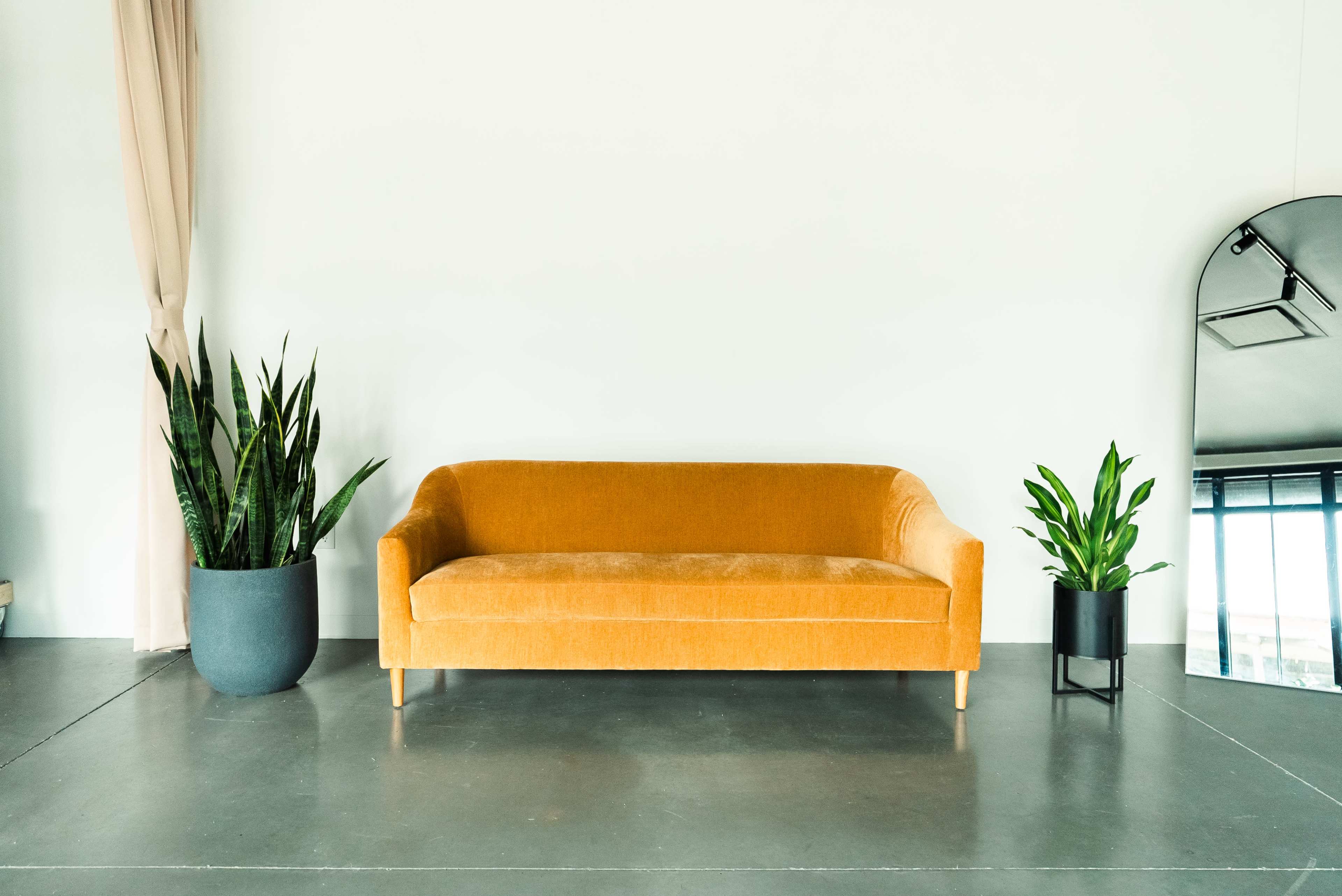 A bright orange couch is positioned in a minimalist room flanked by two plants, one in a large pot and the other in a small stand, against a plain white wall.