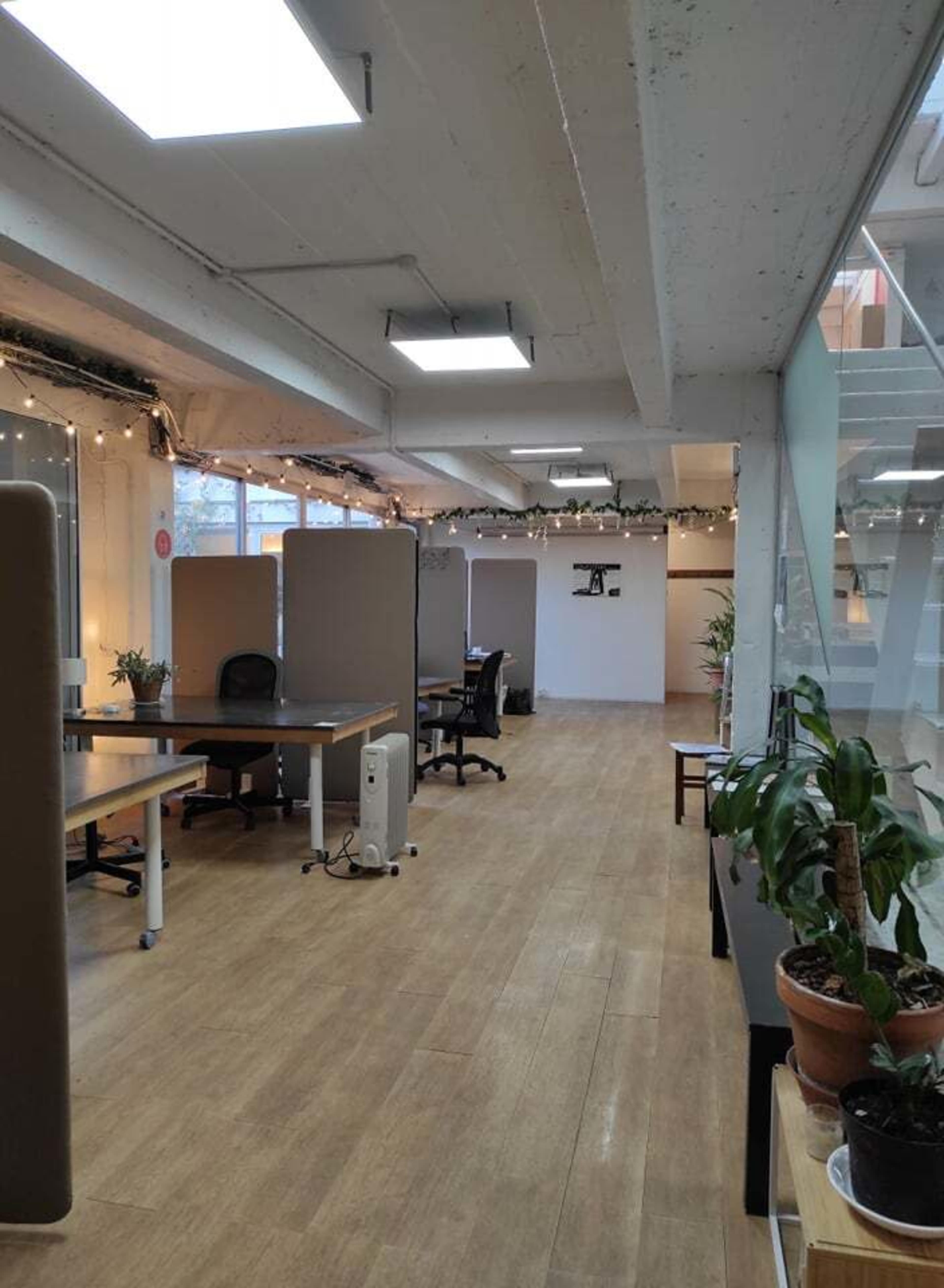A bright, open office space with wooden flooring, several workstations, and potted plants along the wall.