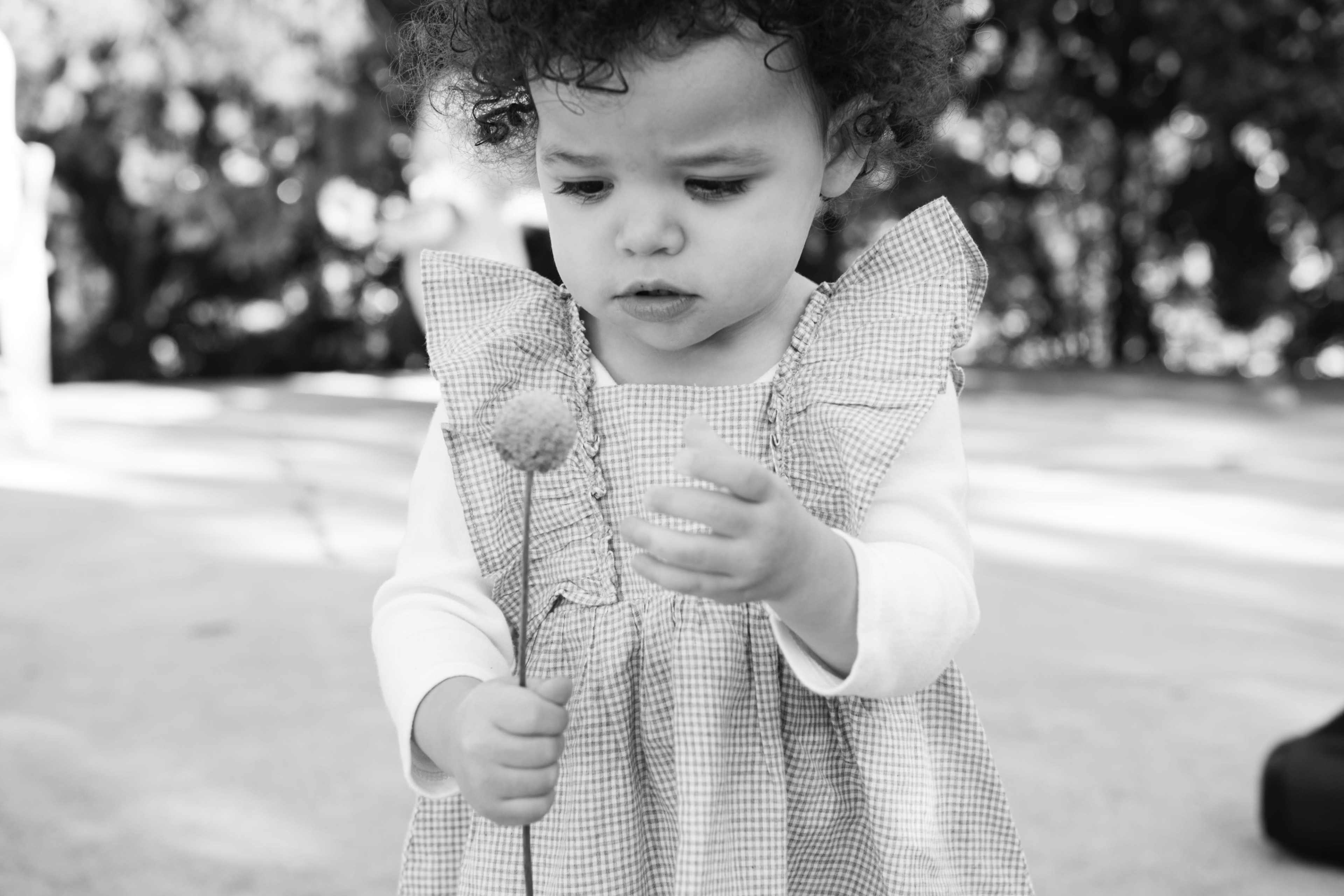 A young child in a checkered dress examines a flower while standing outdoors.