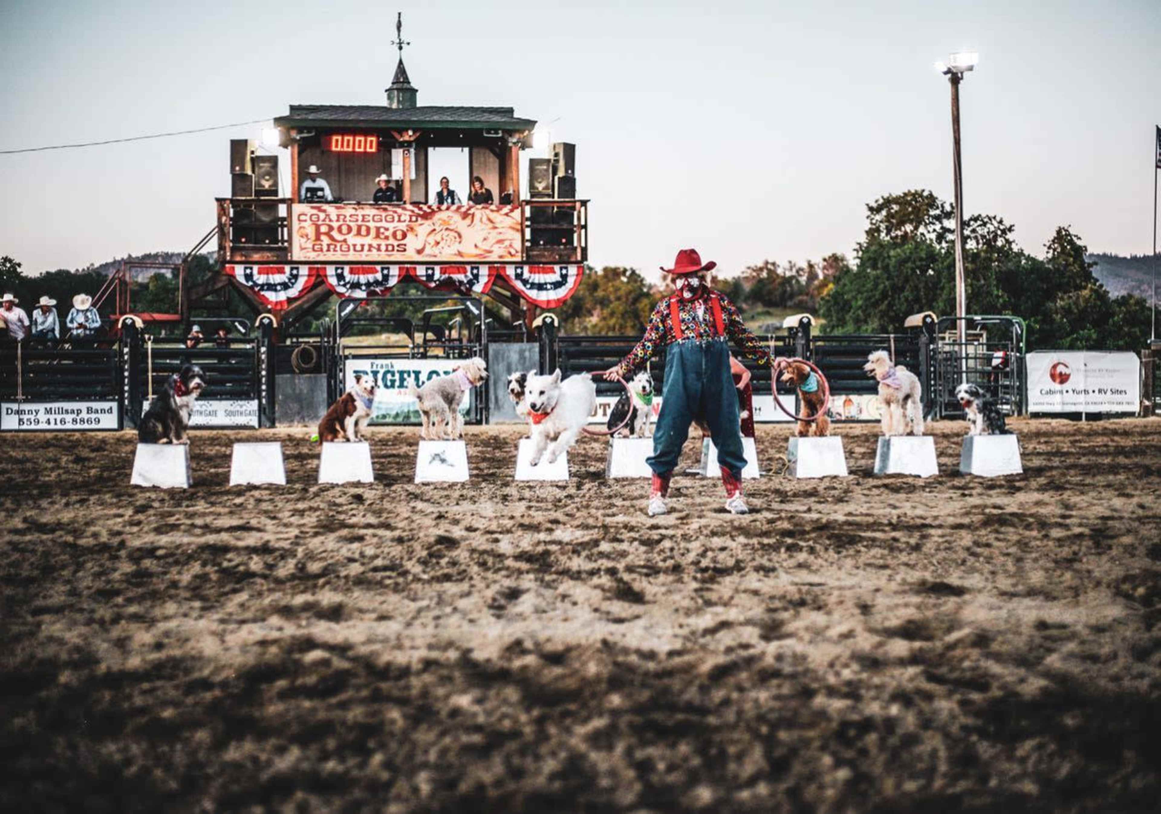 Coarsegold Rodeo Grounds Western Event Venue Image in Coarsegold, Coarsegold, CA