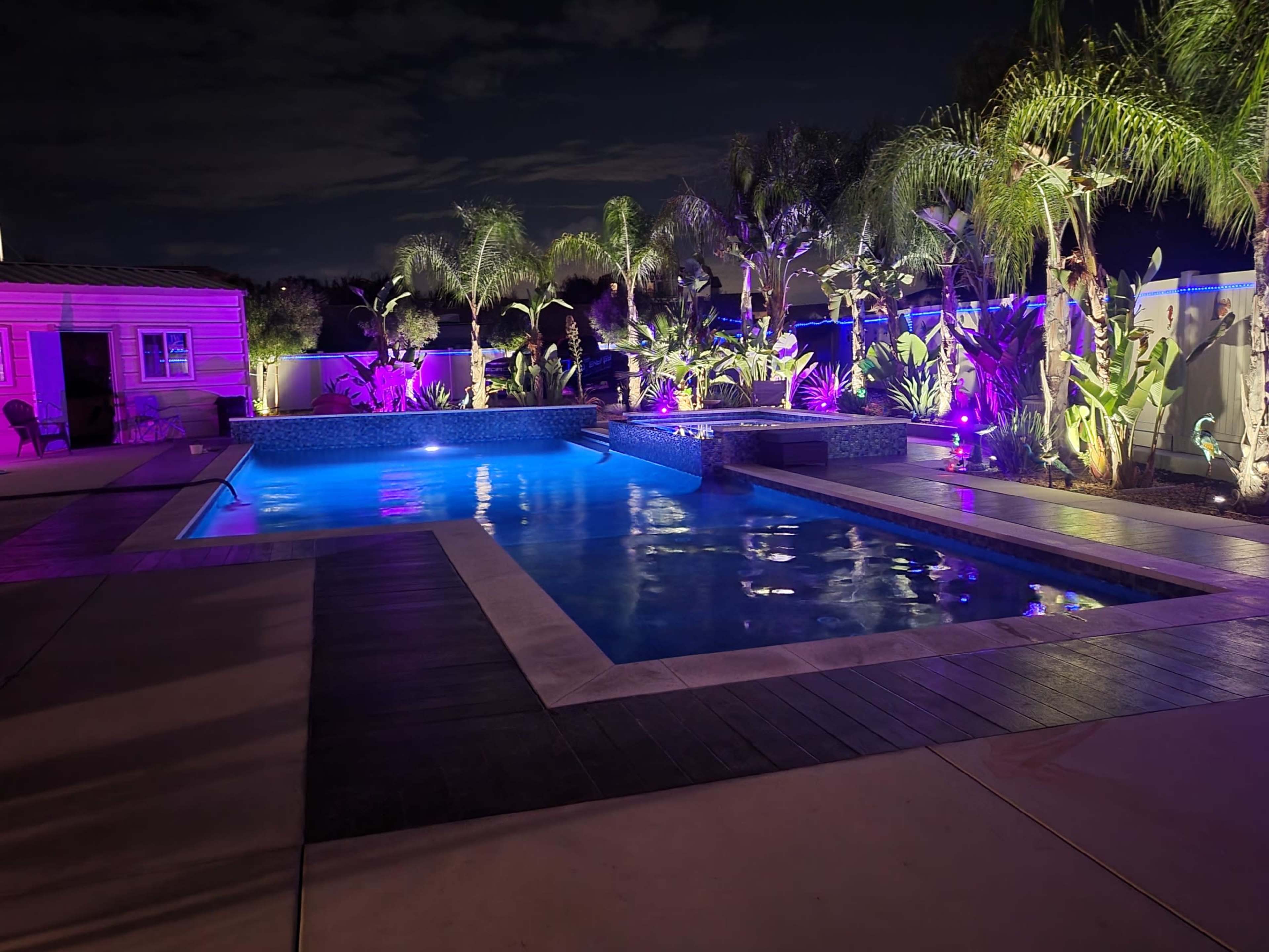 A well-lit swimming pool surrounded by tropical plants and trees, showcasing colored lighting in a nighttime setting.