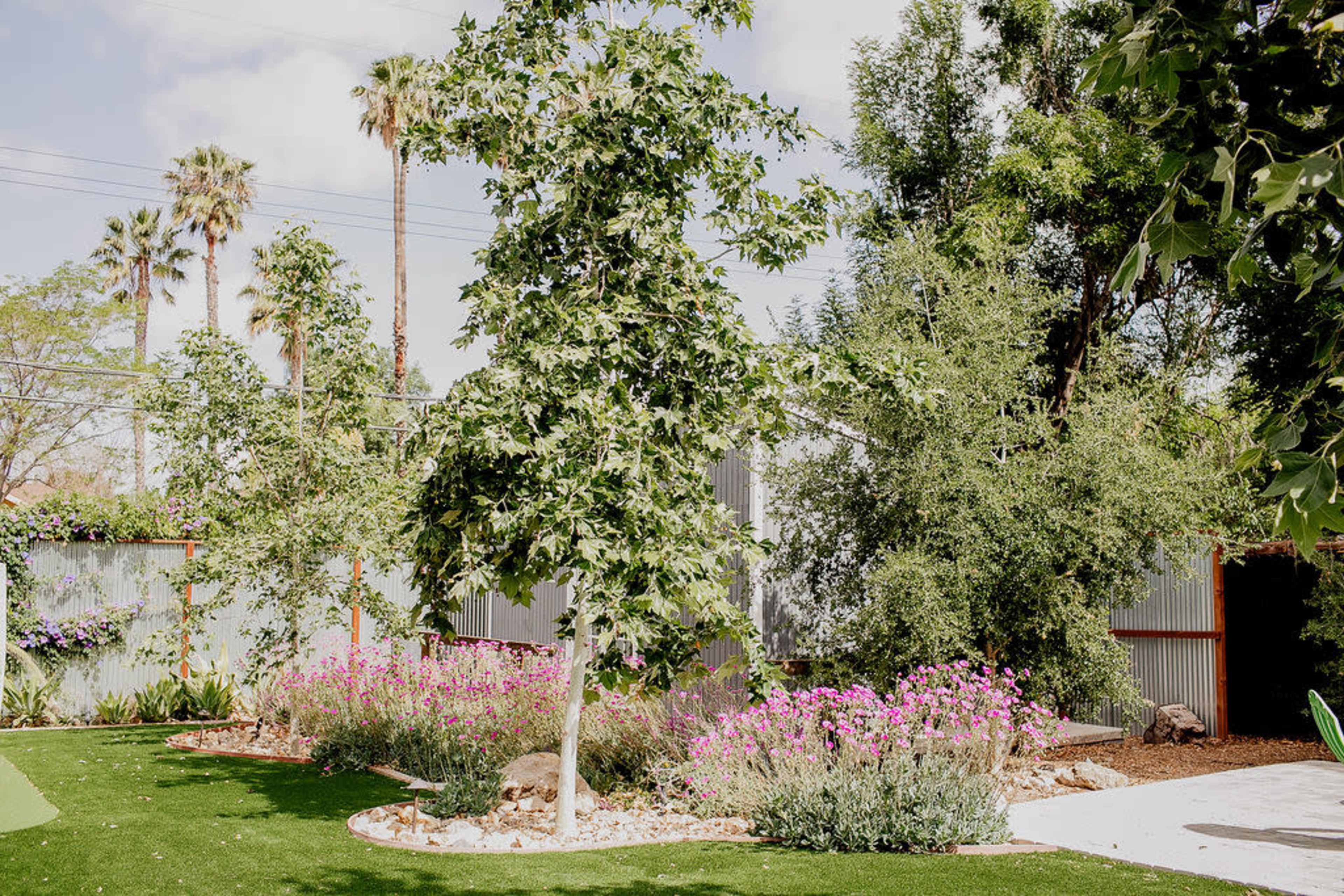 The image shows a landscaped garden featuring a tall tree, various shrubs, and a bed of pink flowers, set against a backdrop of palm trees and metal structures.