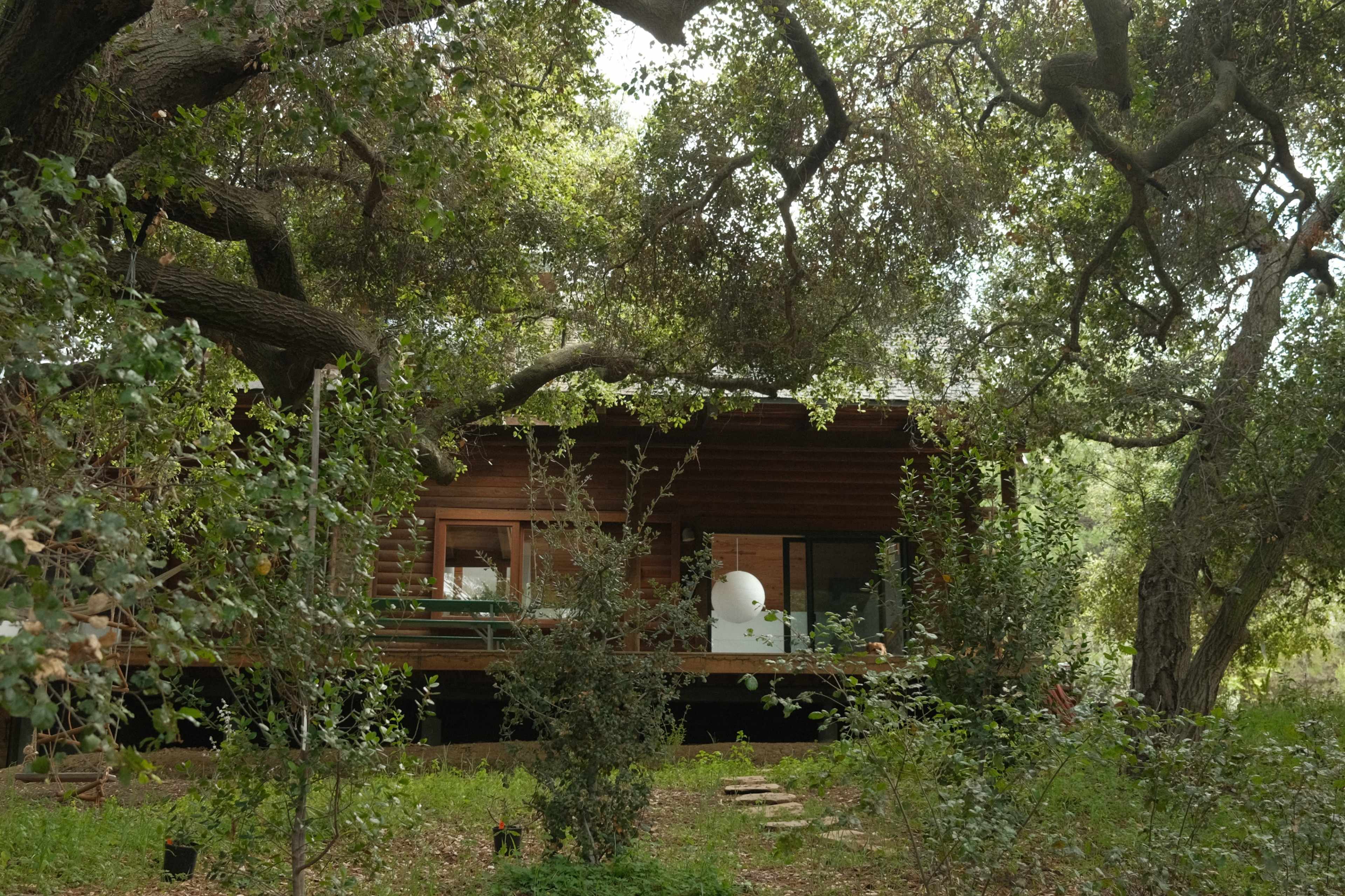 A wooden house with large windows is situated under a canopy of trees, surrounded by dense greenery.