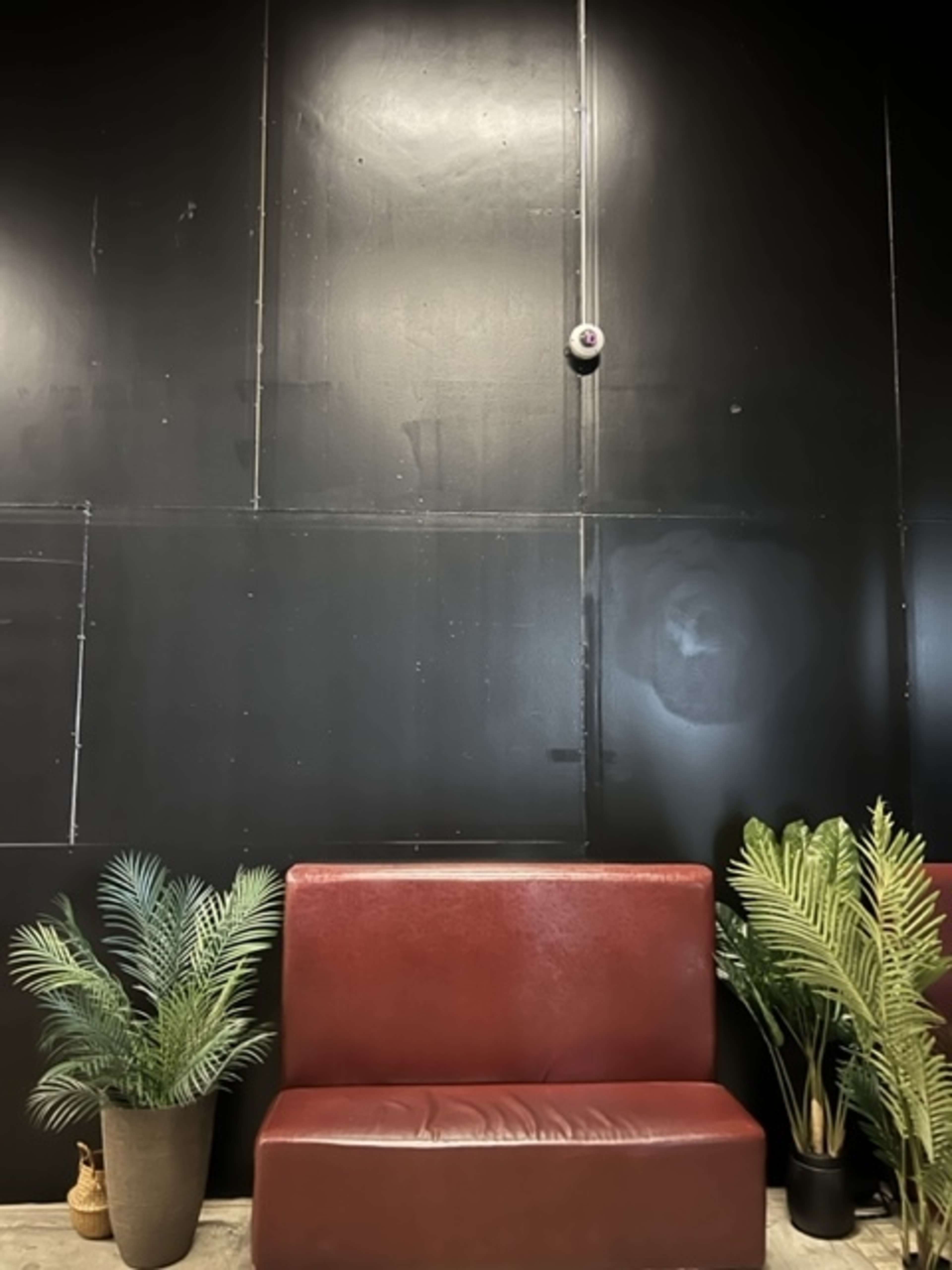 A red bench is situated against a black wall, flanked by two potted plants.