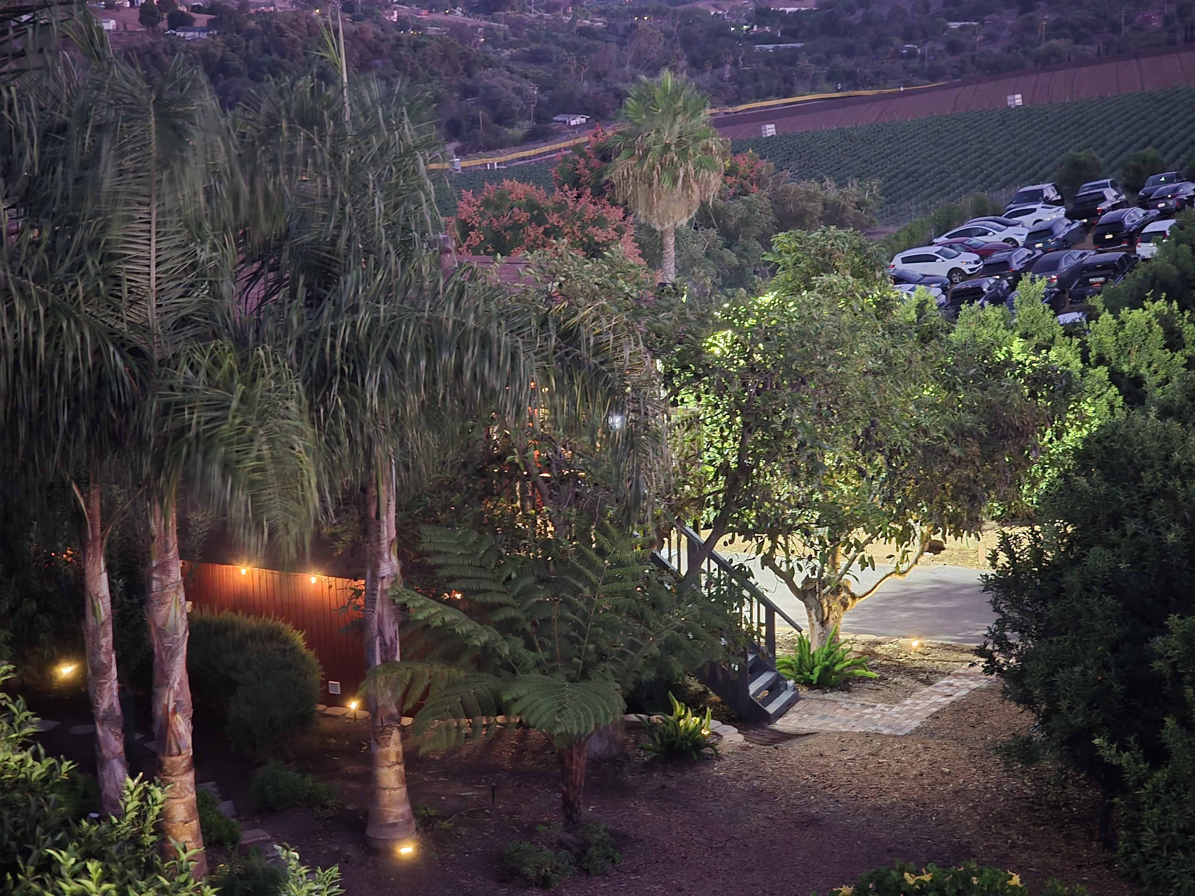 A vineyard is visible in the background, with a parking area on the right and a garden featuring palm trees and greenery in the foreground.