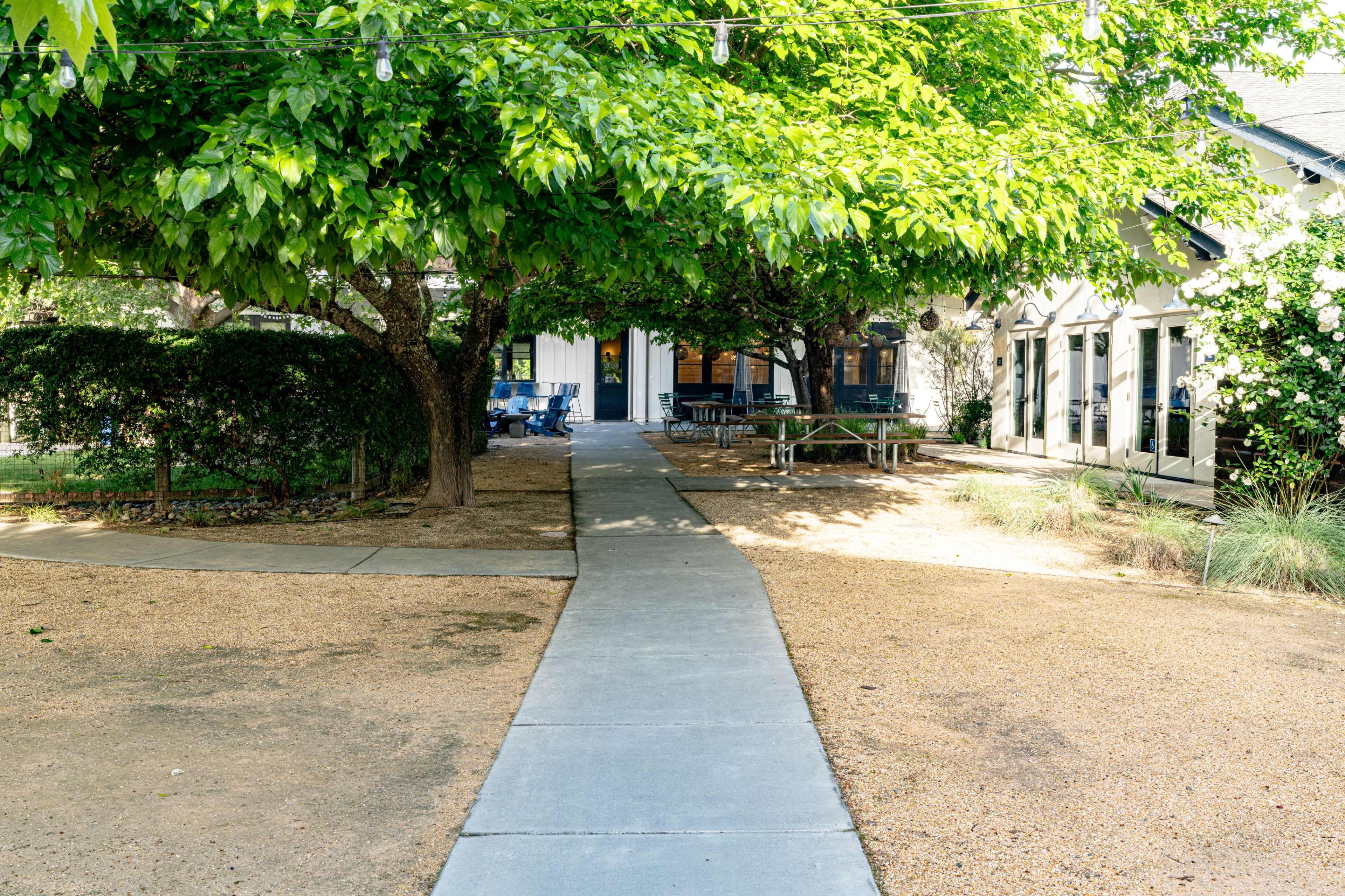 A concrete pathway leads through a green area with trees and picnic tables, connecting a building with large windows.