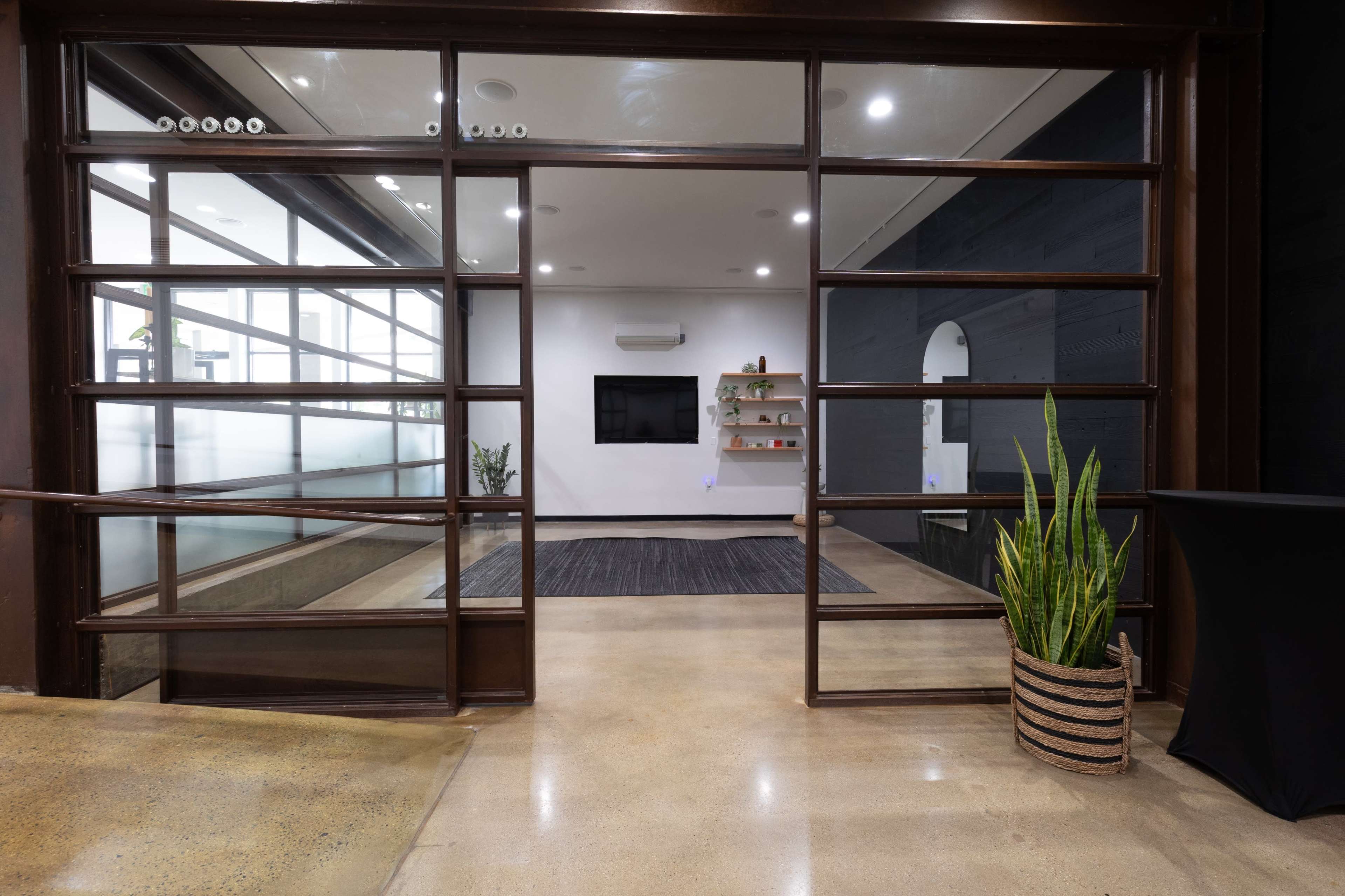 The image shows a modern interior space with large glass doors, a black rug, a wall-mounted television, and a decorative plant in a woven basket.